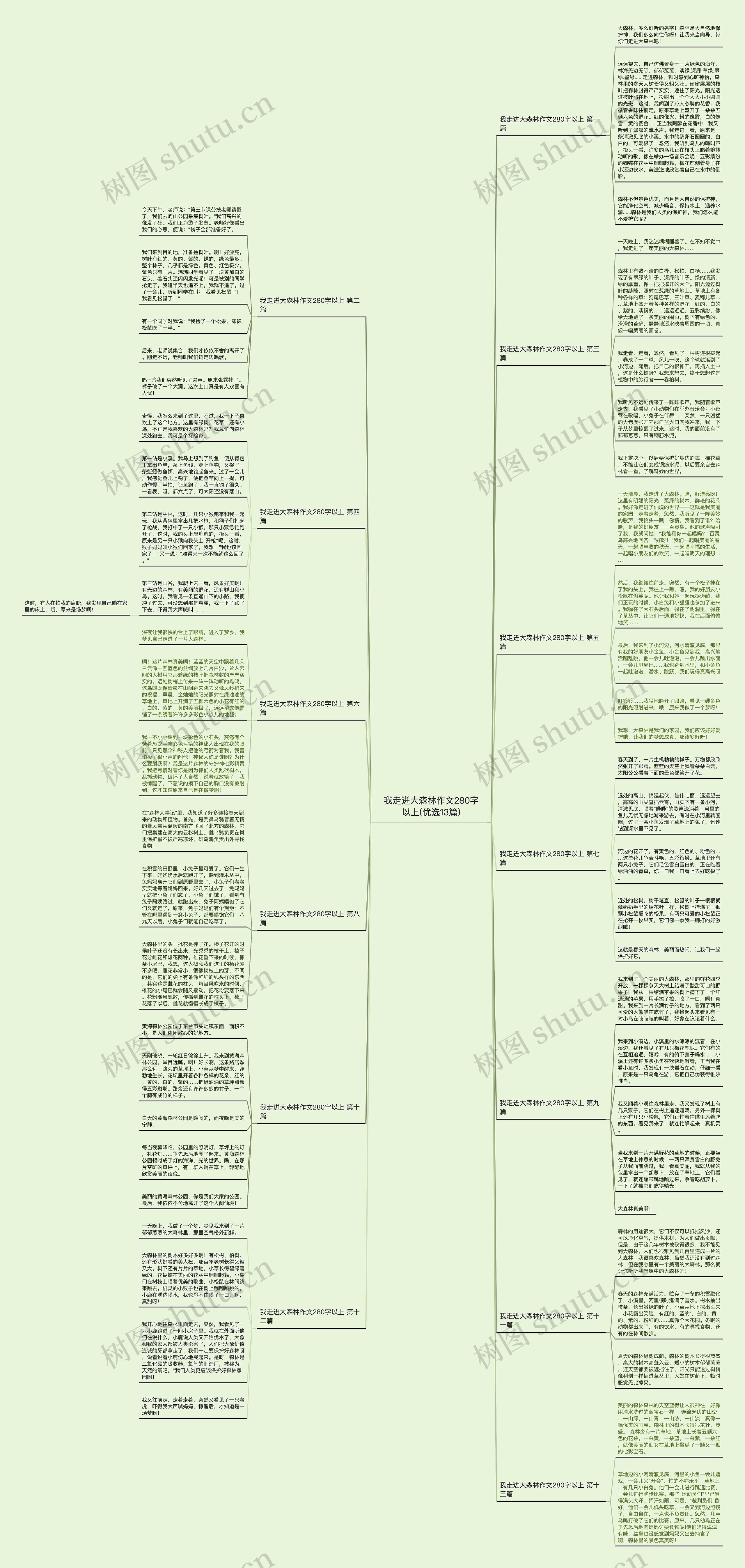 我走迸大森林作文280字以上(优选13篇)思维导图