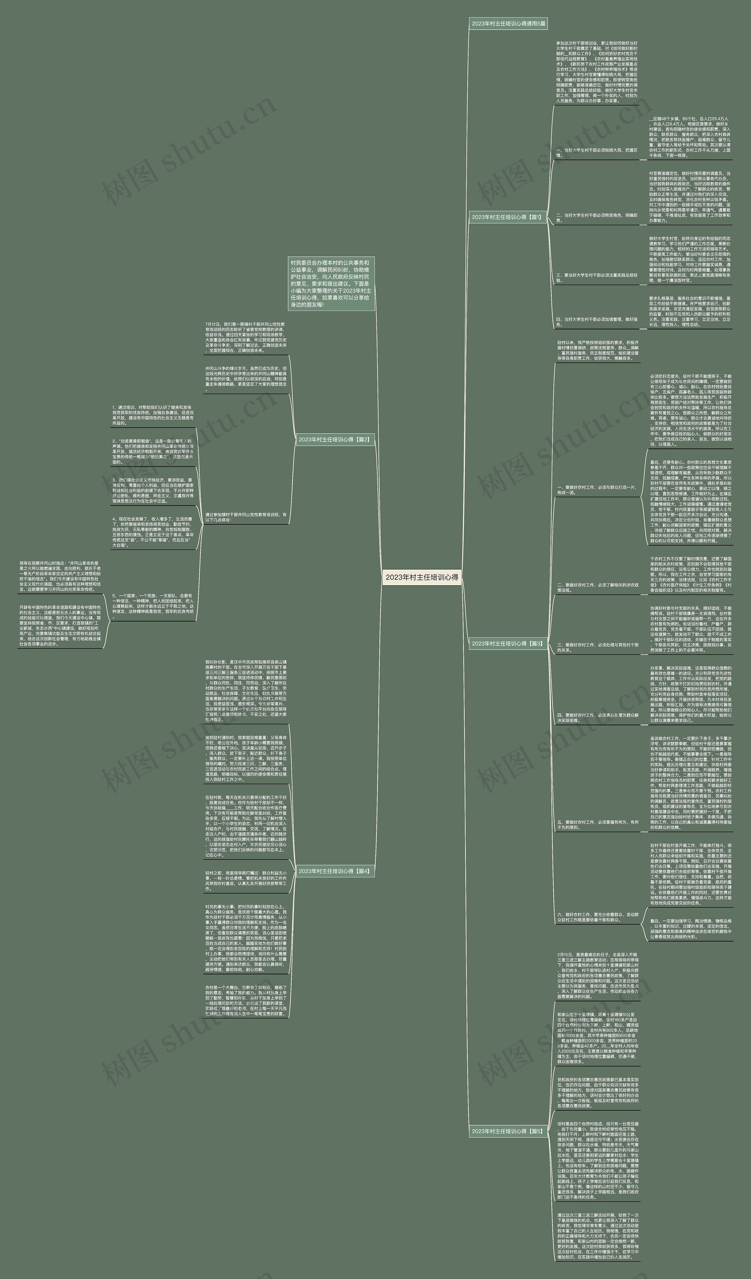 2023年村主任培训心得思维导图