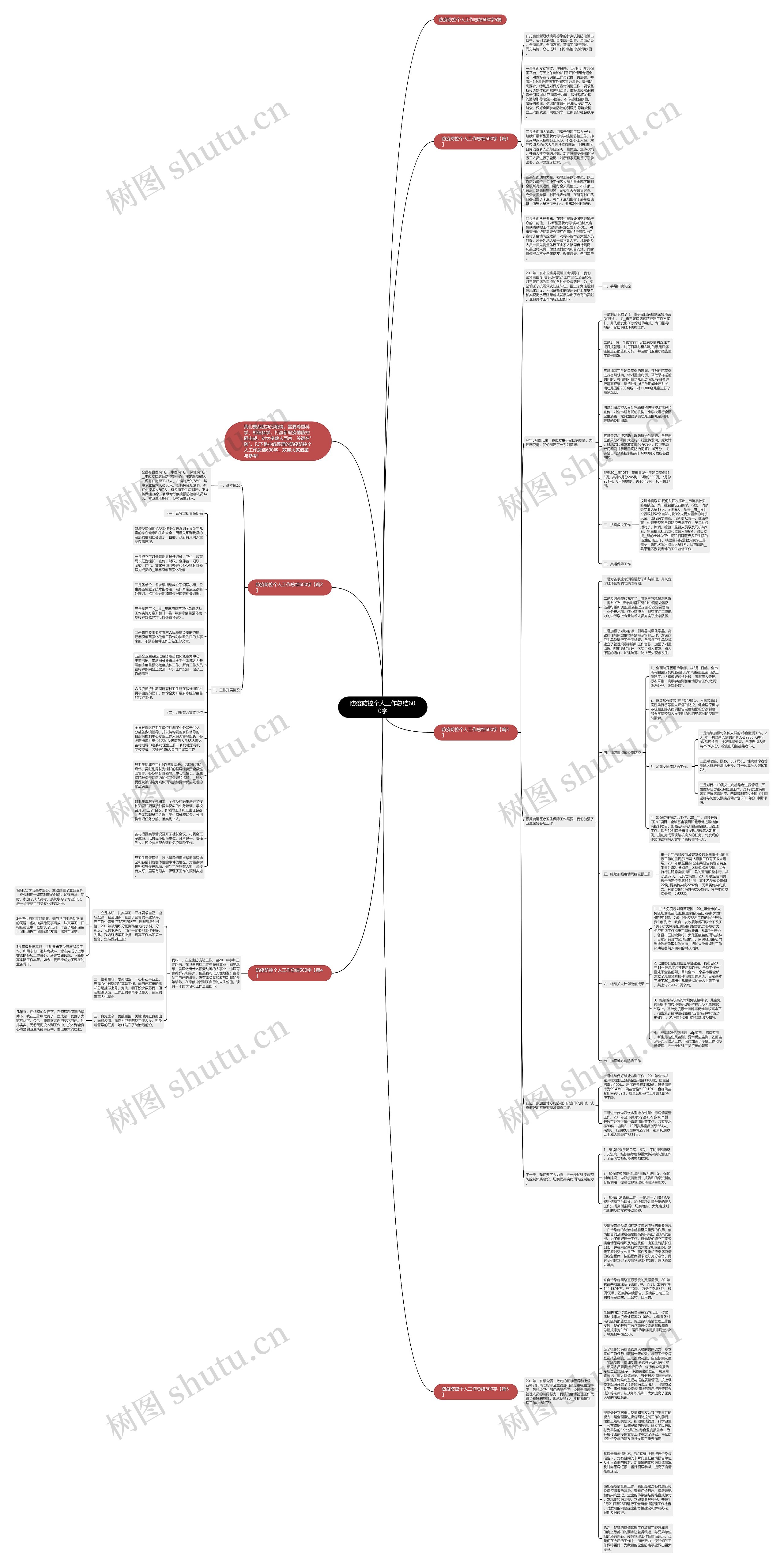 防疫防控个人工作总结600字思维导图