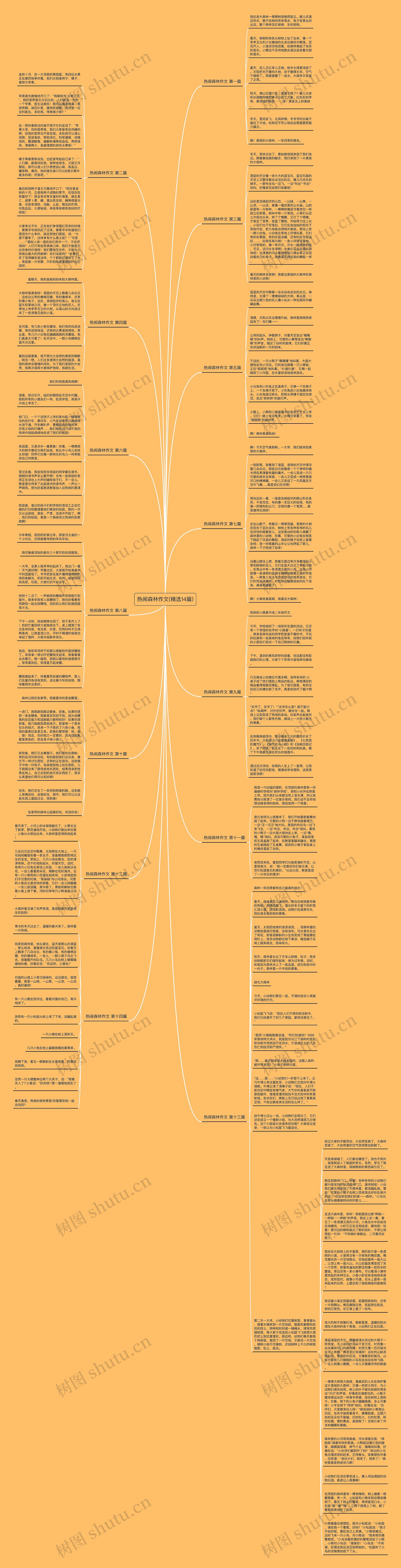 热闹森林作文(精选14篇)思维导图