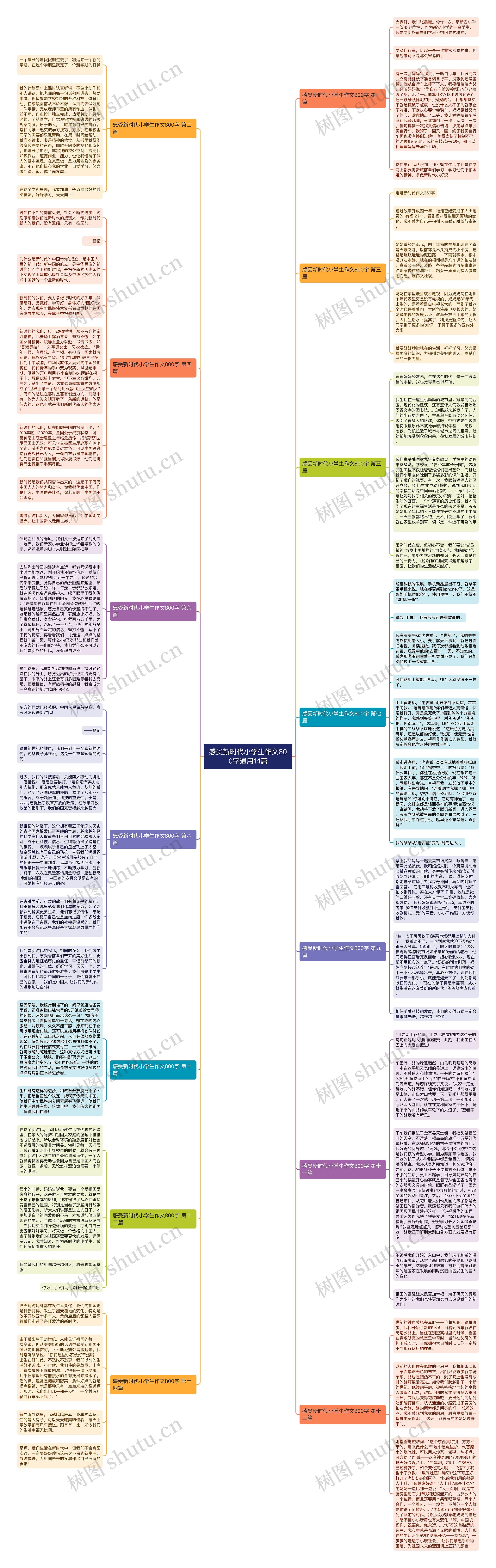 感受新时代小学生作文800字通用14篇思维导图