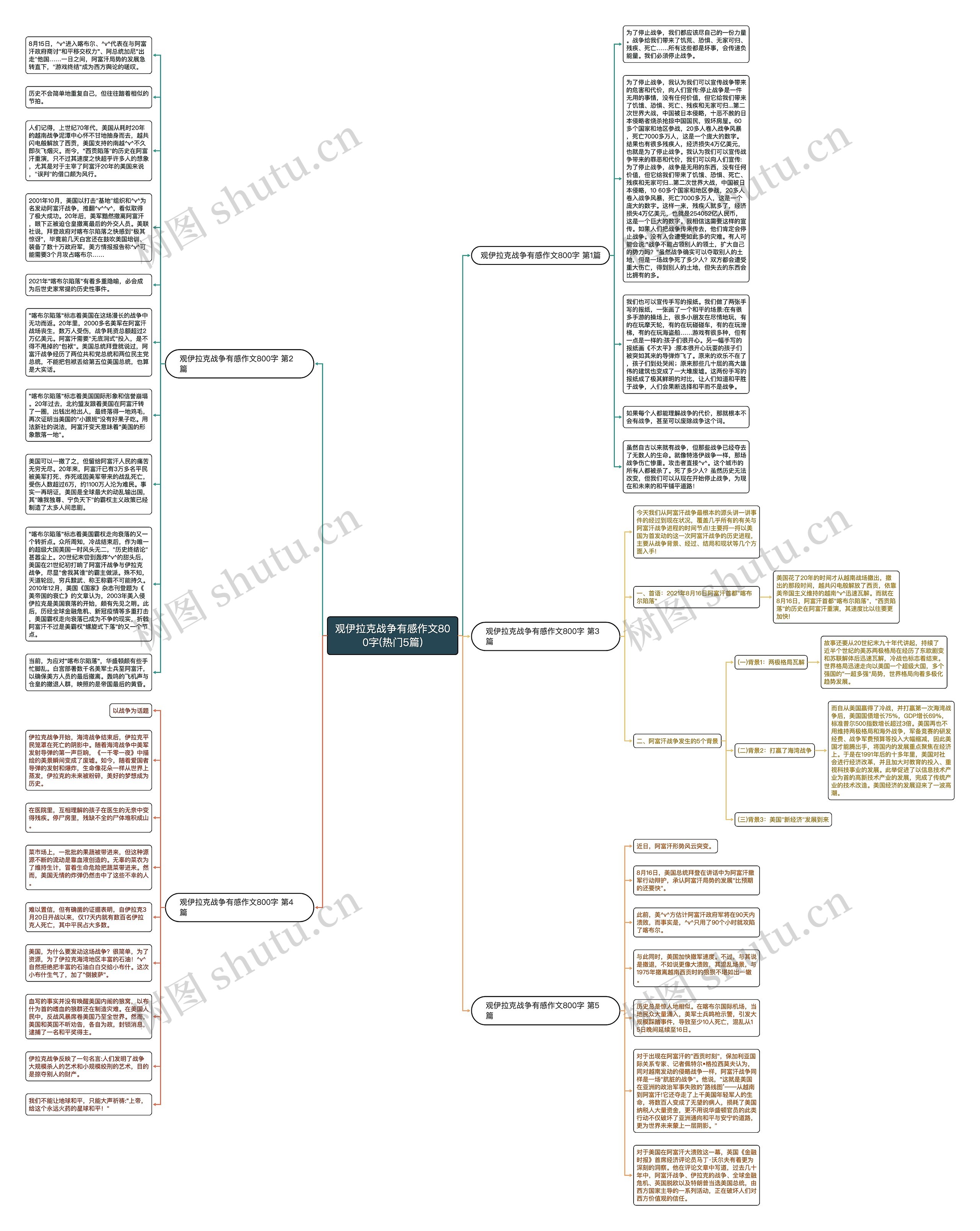 观伊拉克战争有感作文800字(热门5篇)思维导图