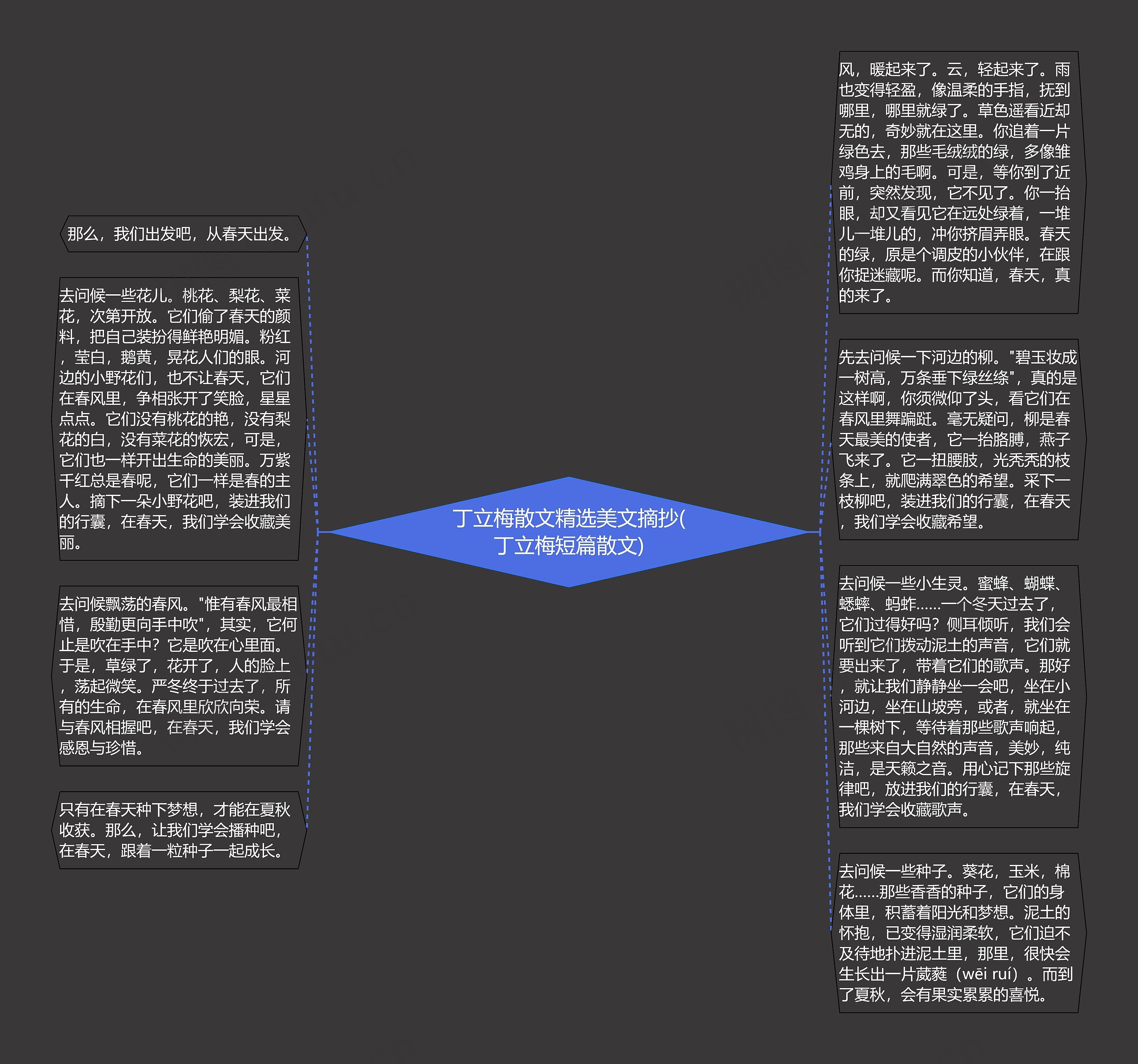 丁立梅散文精选美文摘抄(丁立梅短篇散文)思维导图高清图 丁立梅散文精选美文摘抄(丁立梅短篇散文)思维导图