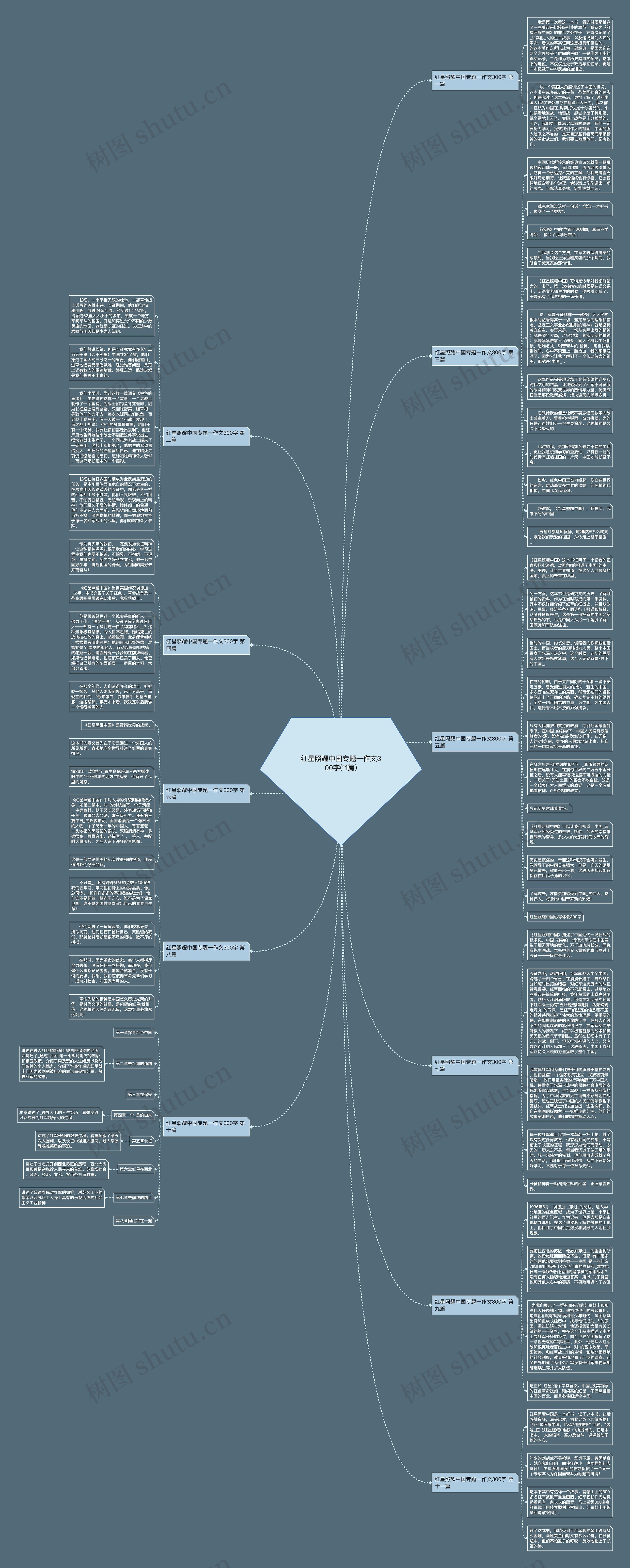 红星照耀中国专题一作文300字(11篇)