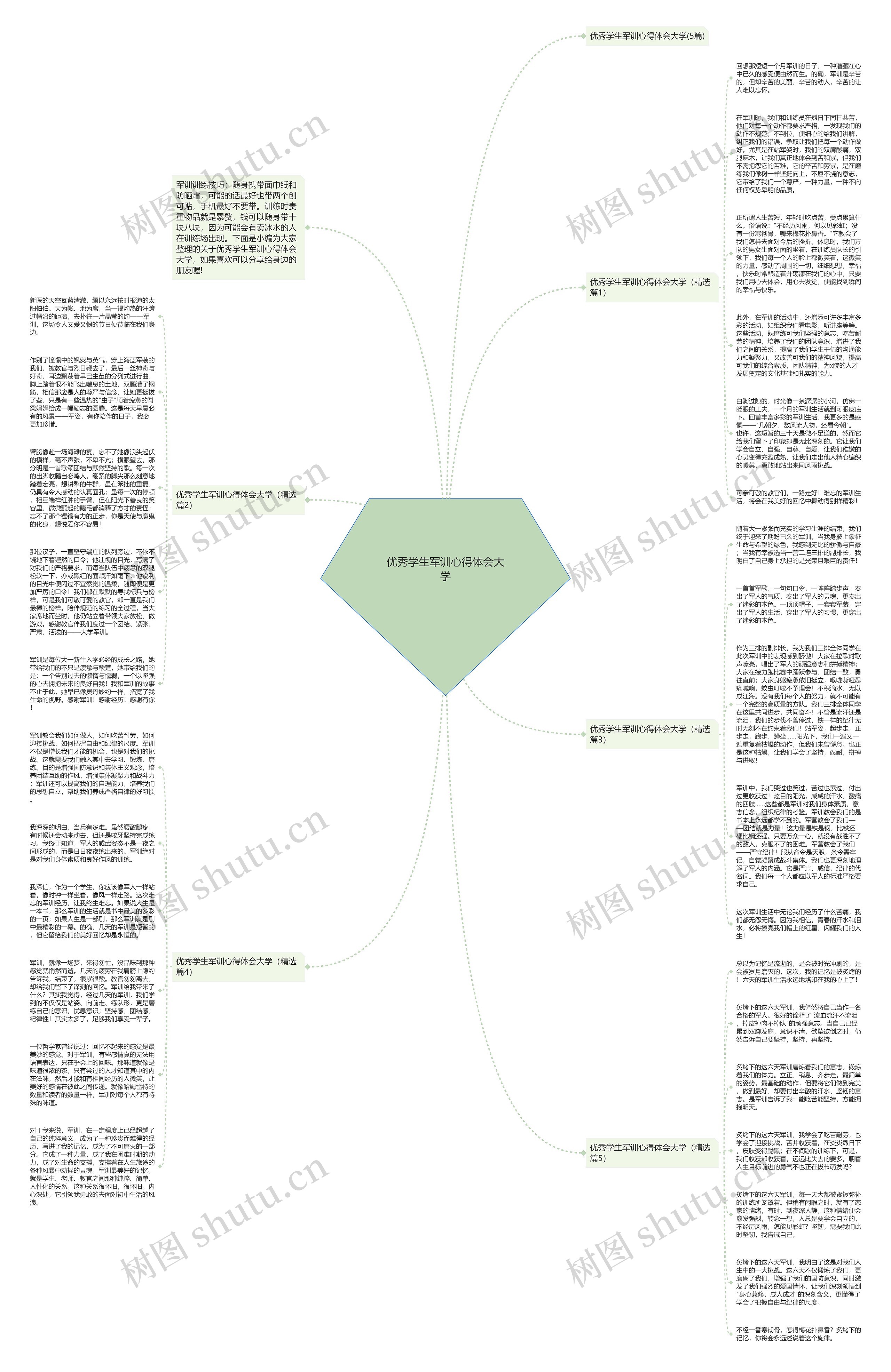 优秀学生军训心得体会大学思维导图