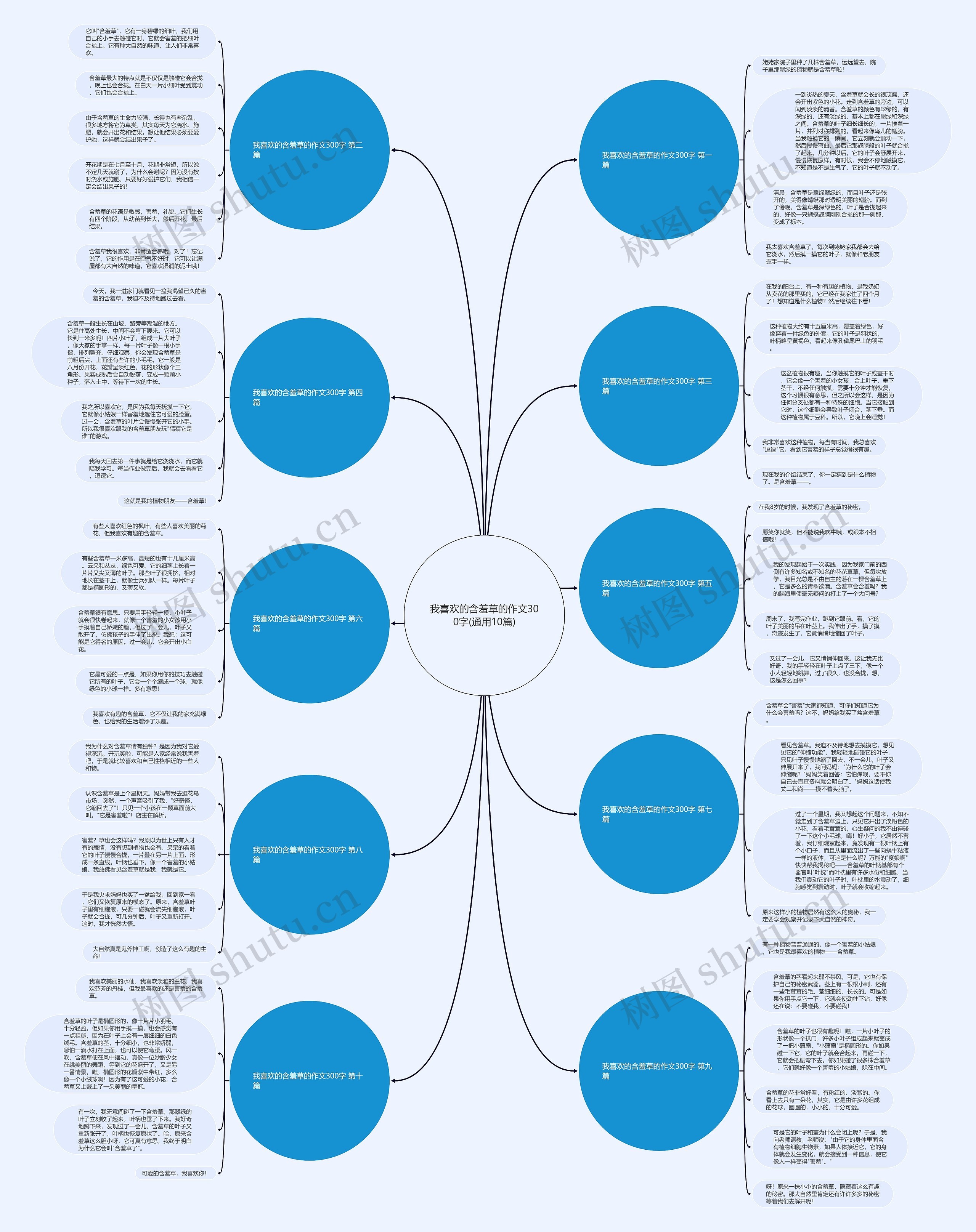 我喜欢的含羞草的作文300字(通用10篇)思维导图