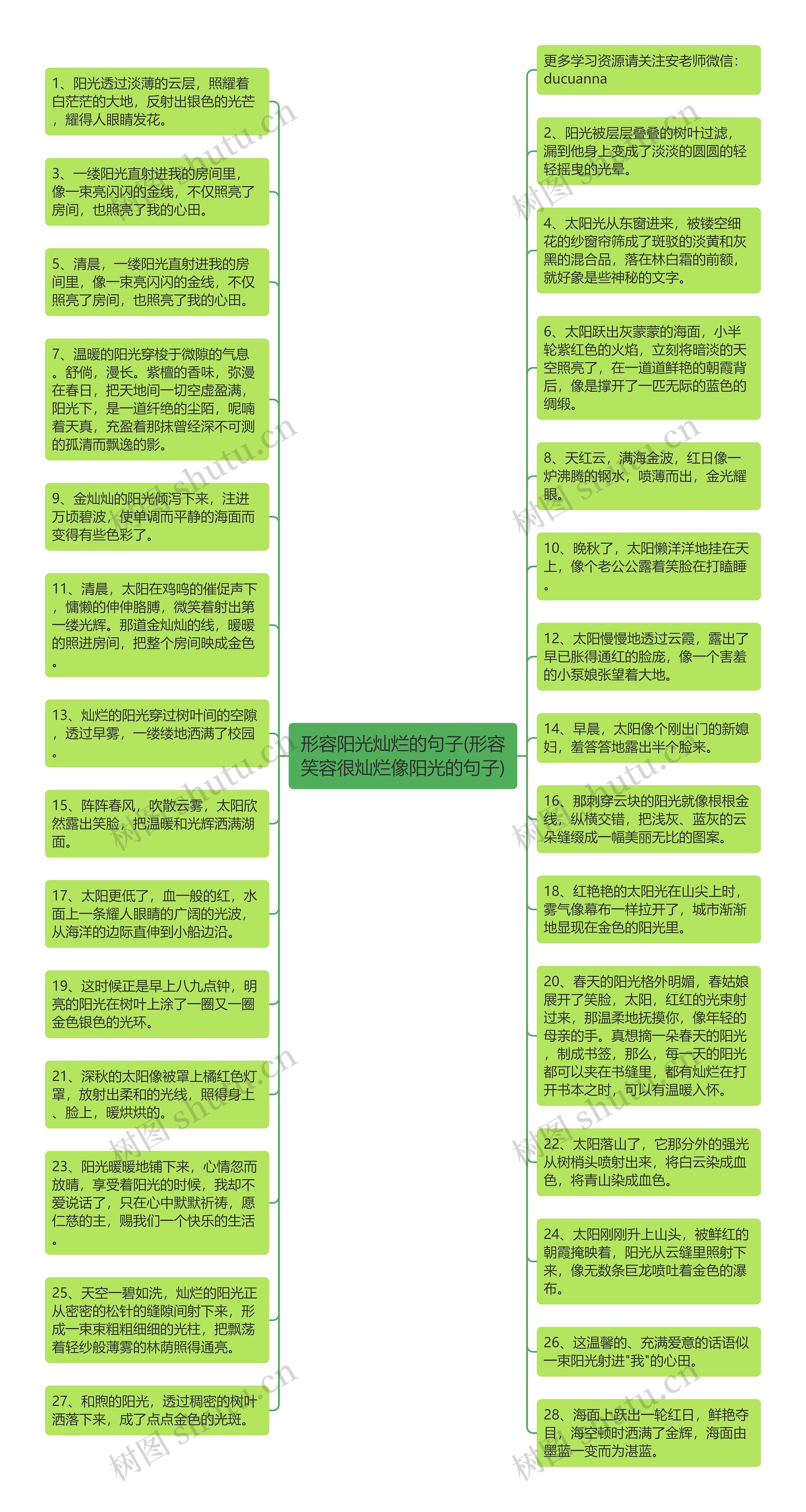 形容阳光灿烂的句子(形容笑容很灿烂像阳光的句子)思维导图