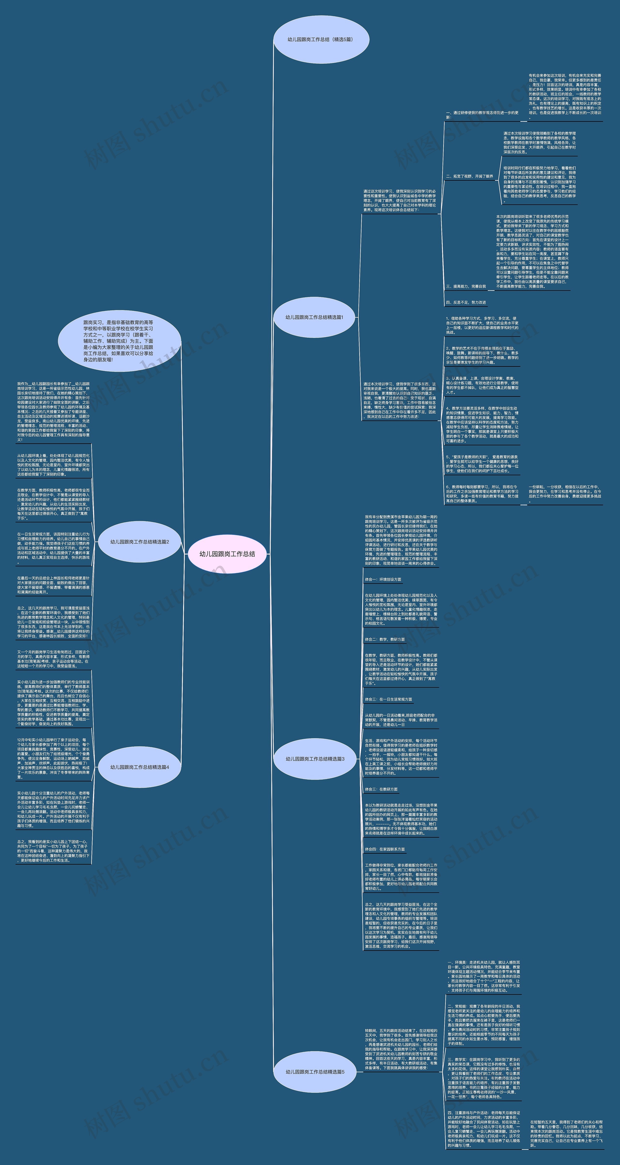 幼儿园跟岗工作总结思维导图