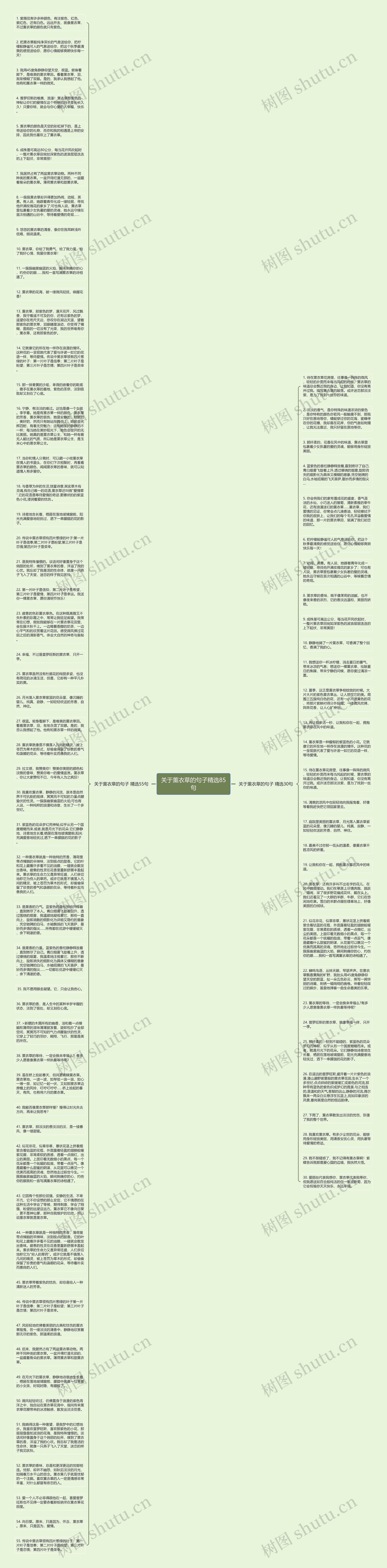 关于薰衣草的句子精选85句思维导图