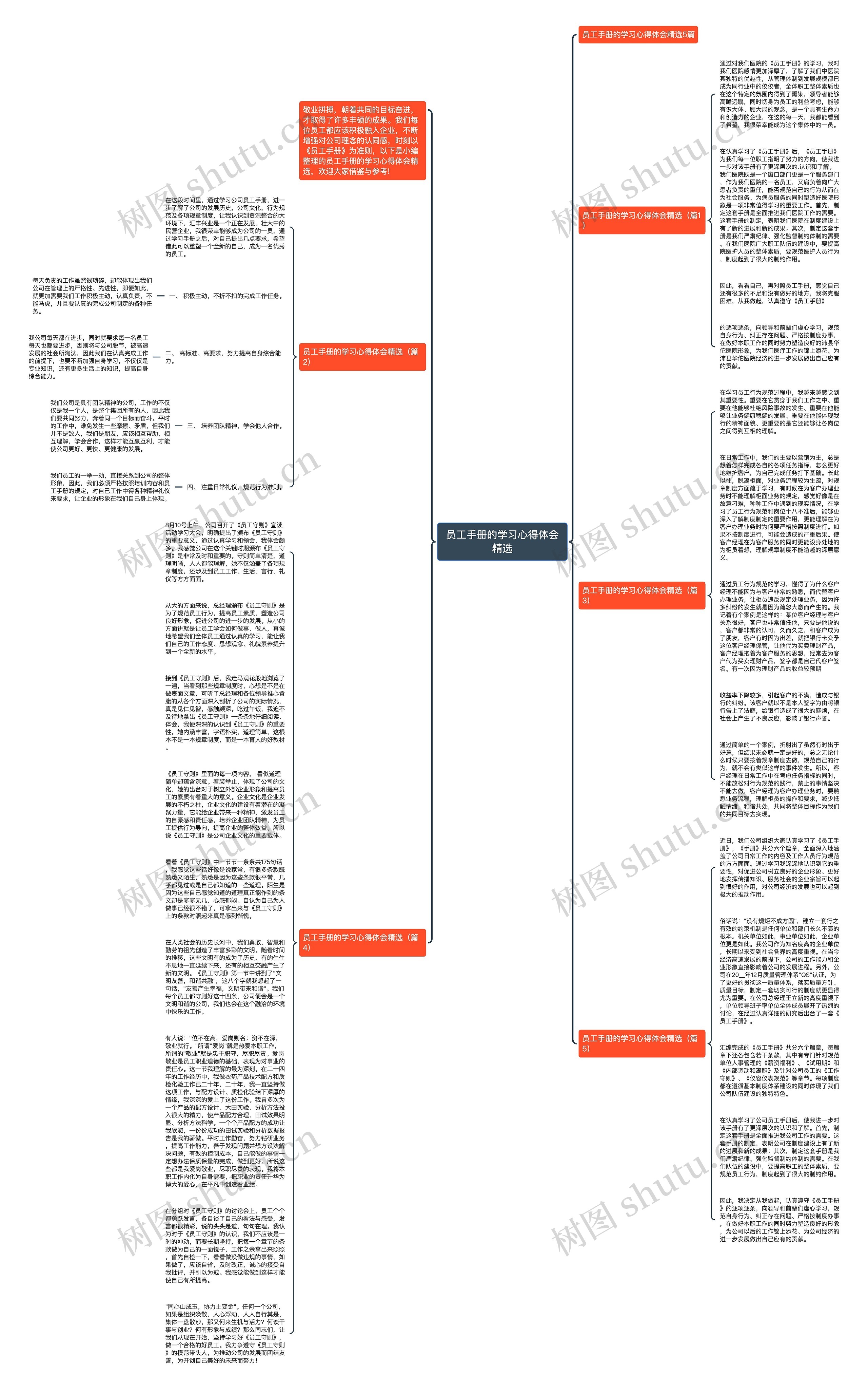 员工手册的学习心得体会精选思维导图