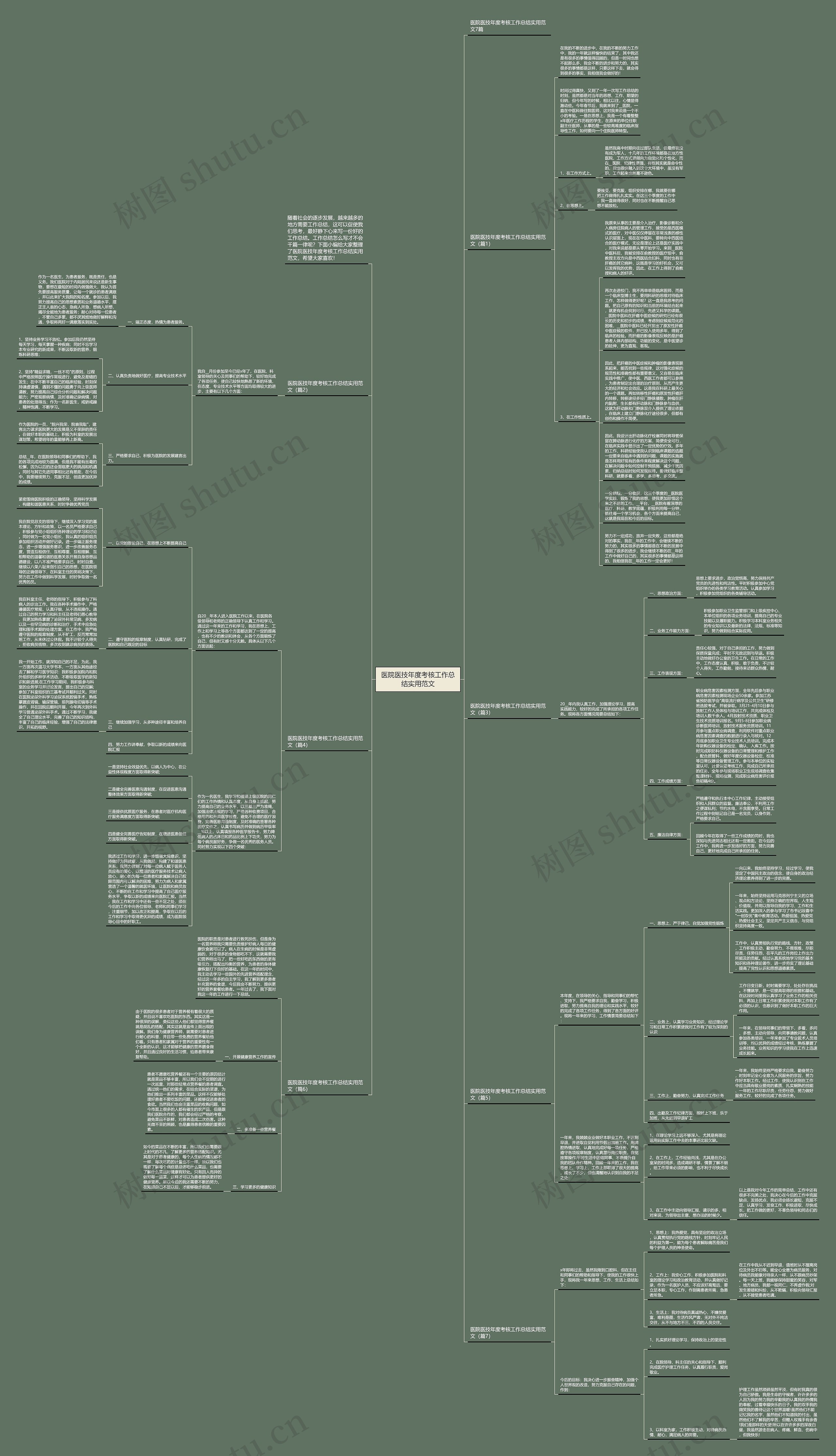 医院医技年度考核工作总结实用范文思维导图