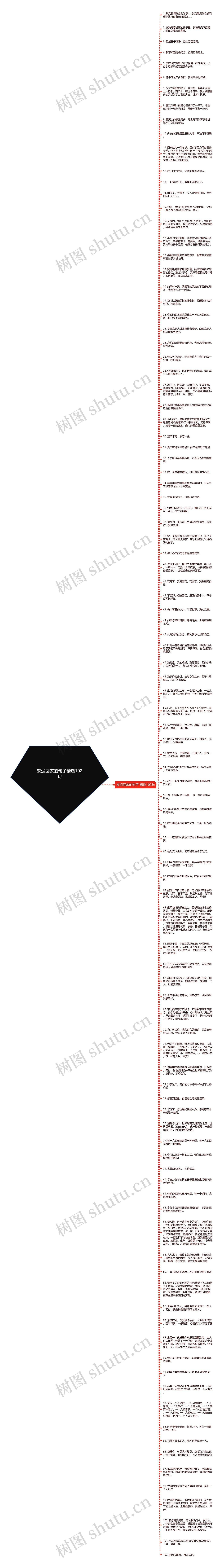 欢迎回家的句子精选102句思维导图