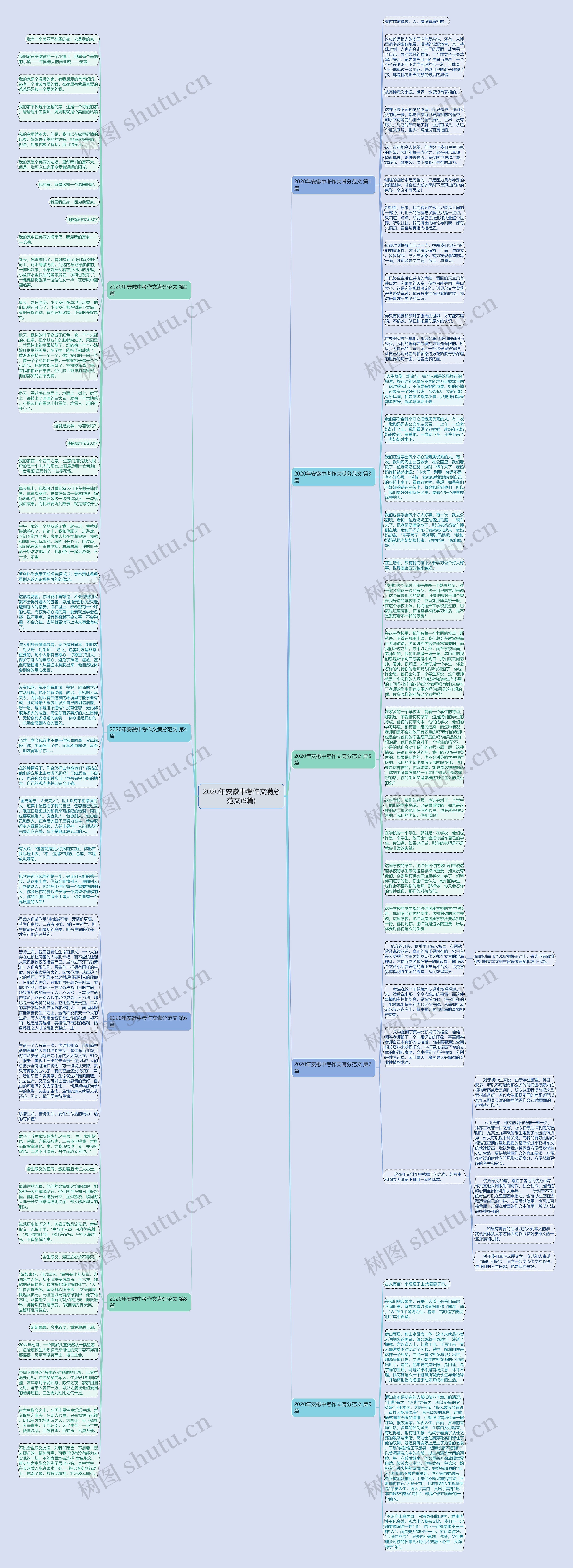 2020年安徽中考作文满分范文(9篇)思维导图