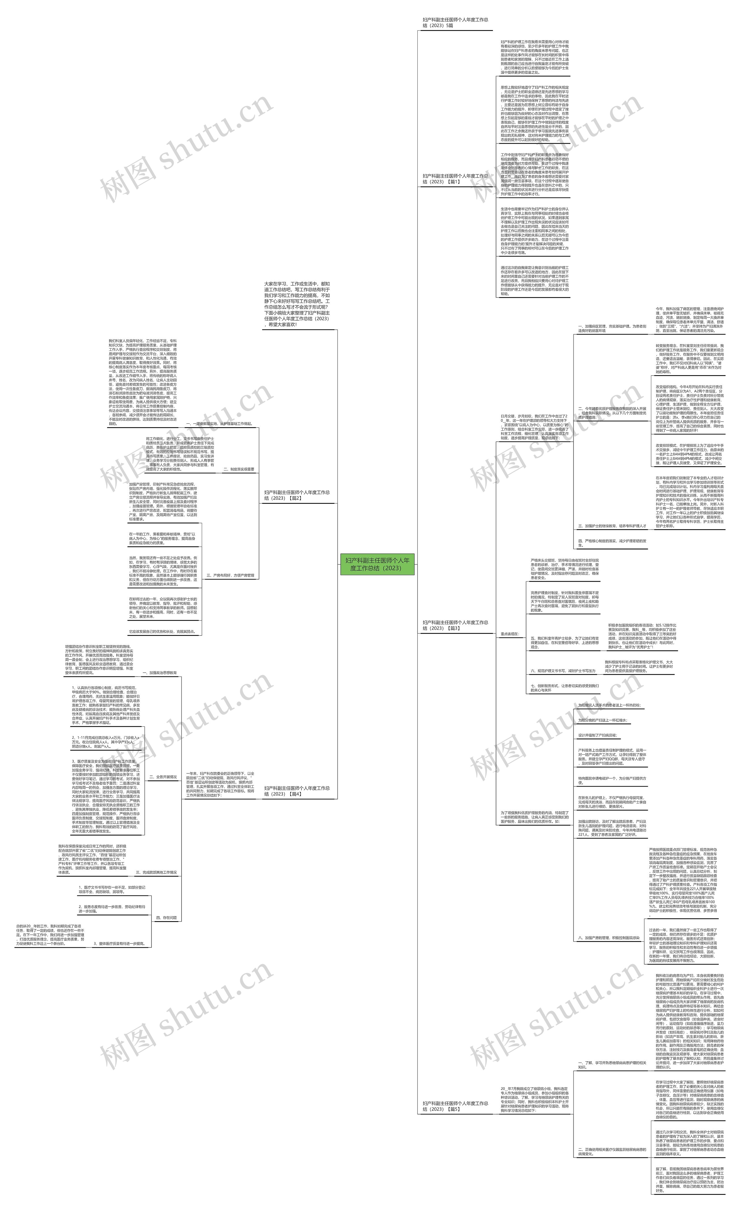 妇产科副主任医师个人年度工作总结（2023）思维导图