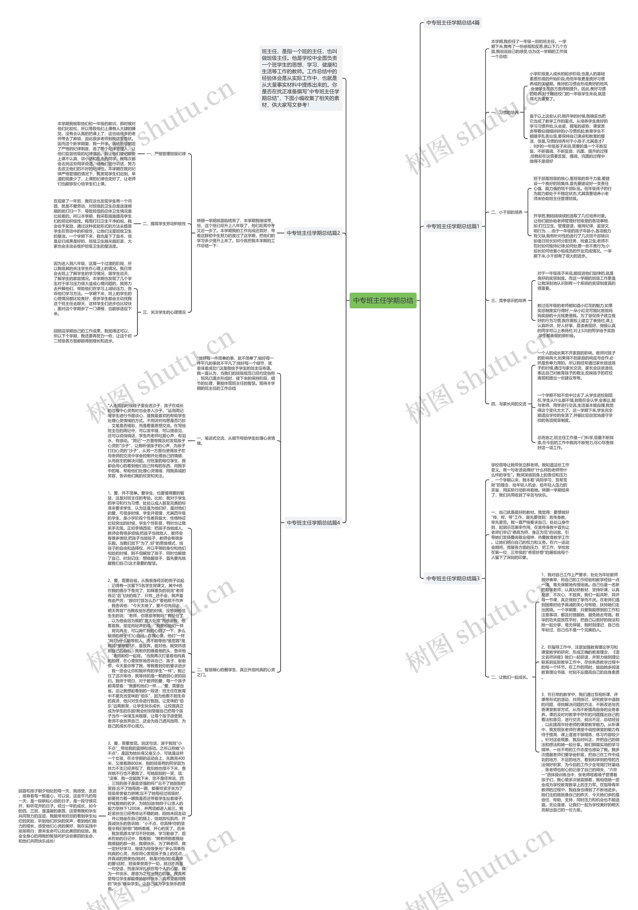 中专班主任学期总结思维导图