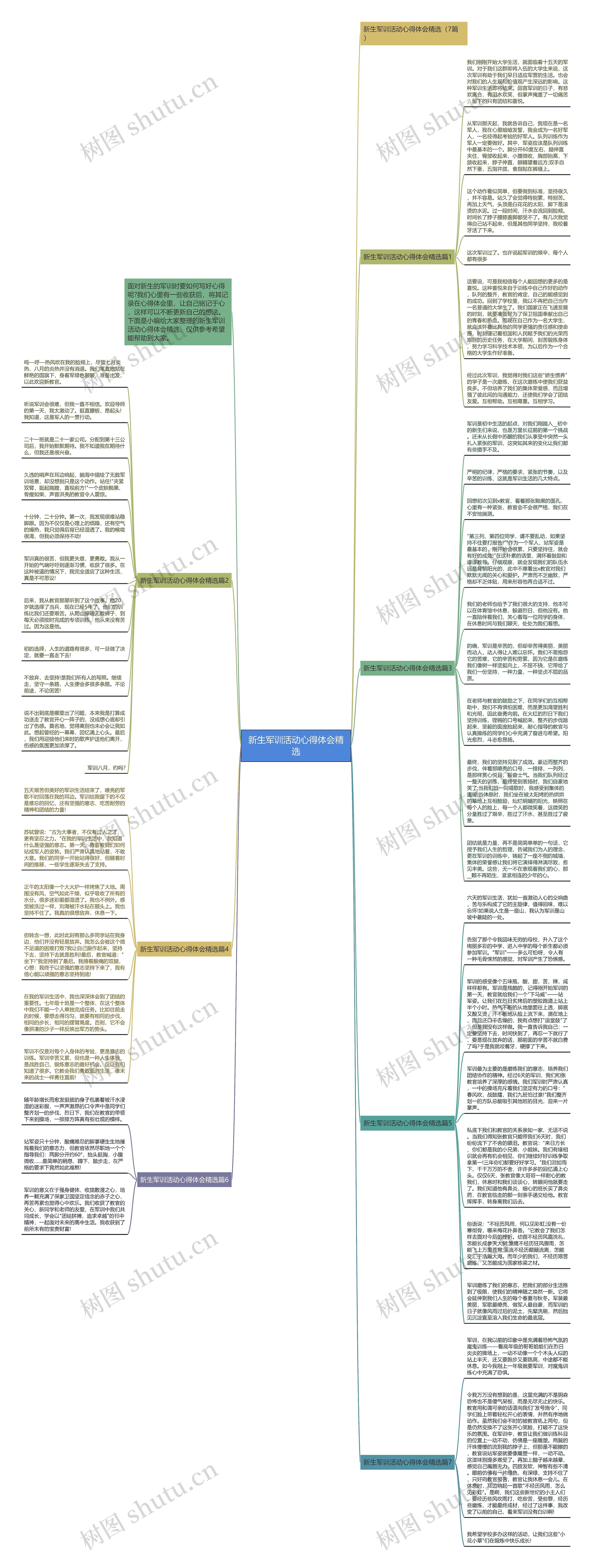新生军训活动心得体会精选思维导图