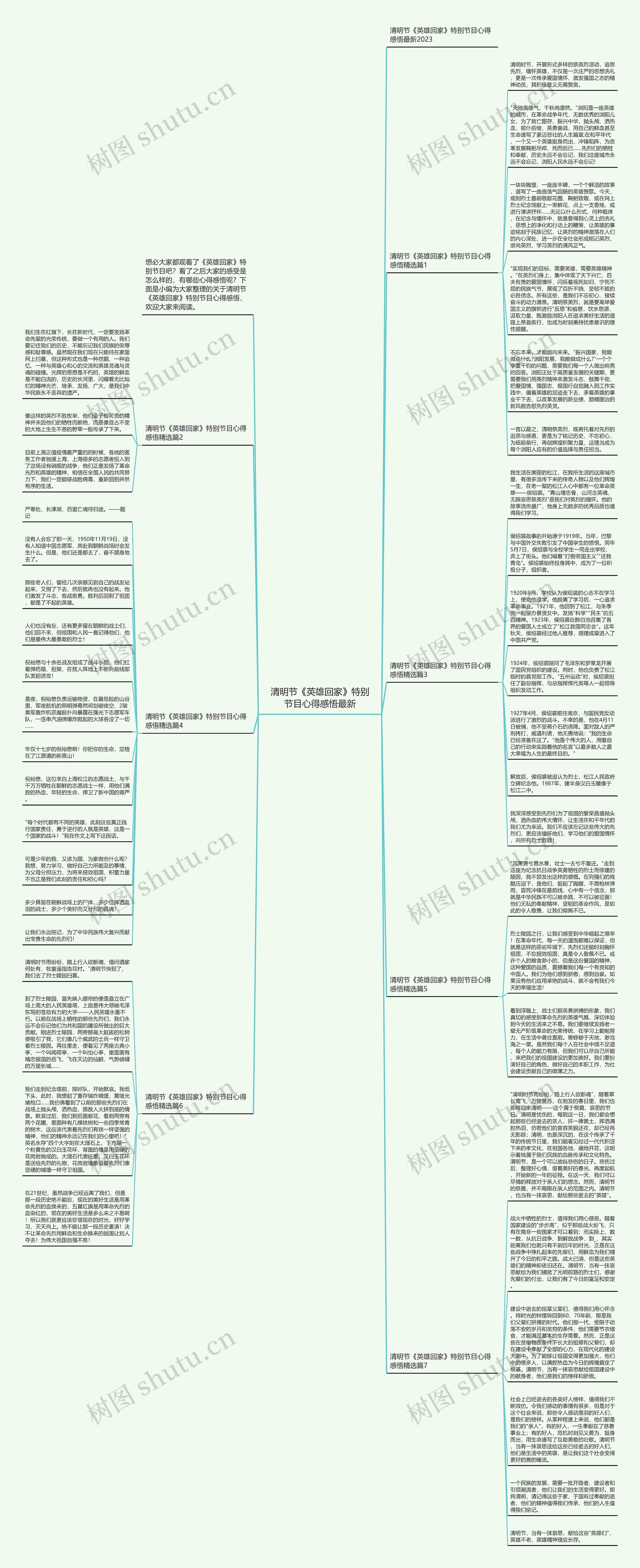 清明节《英雄回家》特别节目心得感悟最新思维导图