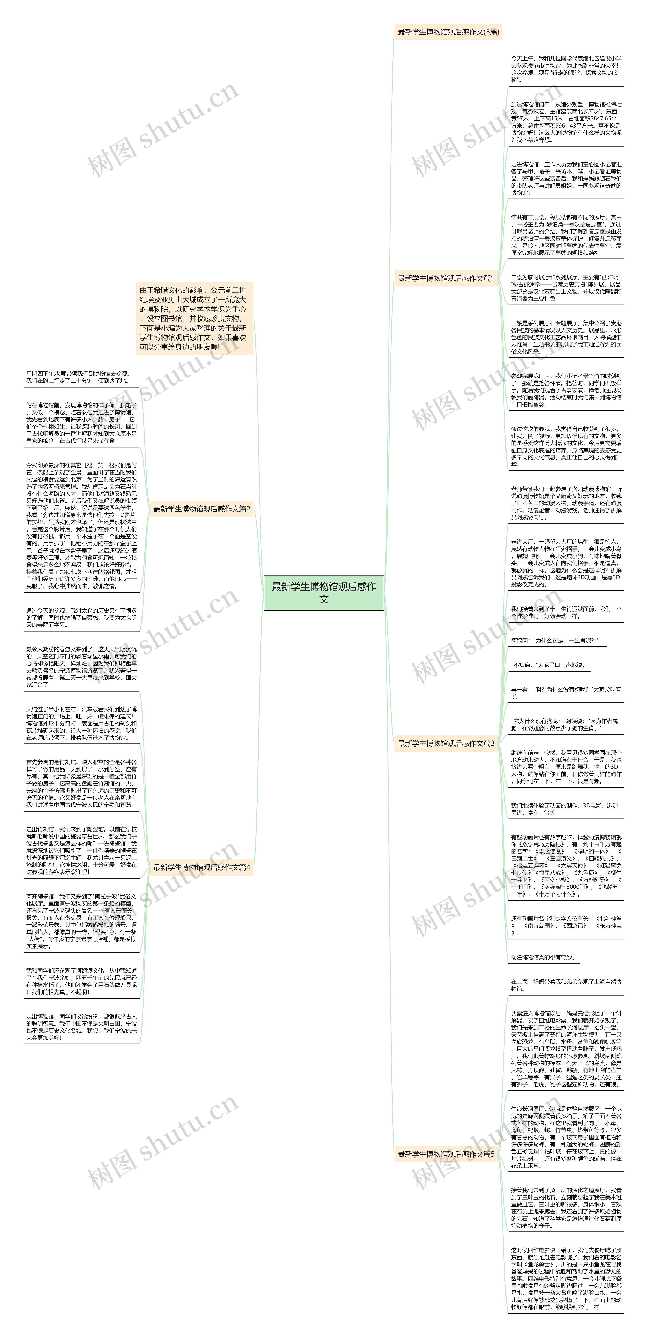 最新学生博物馆观后感作文思维导图