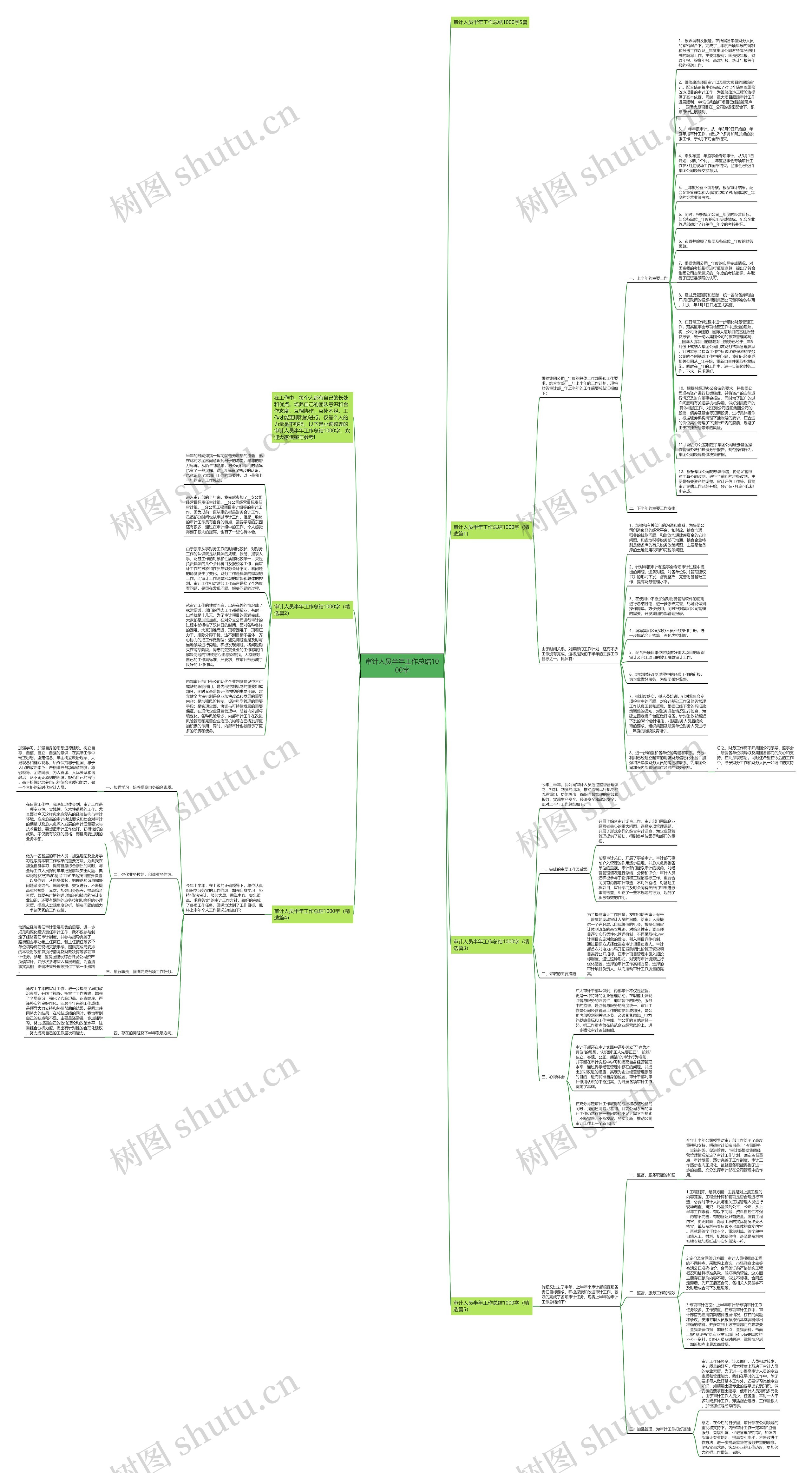 审计人员半年工作总结1000字思维导图