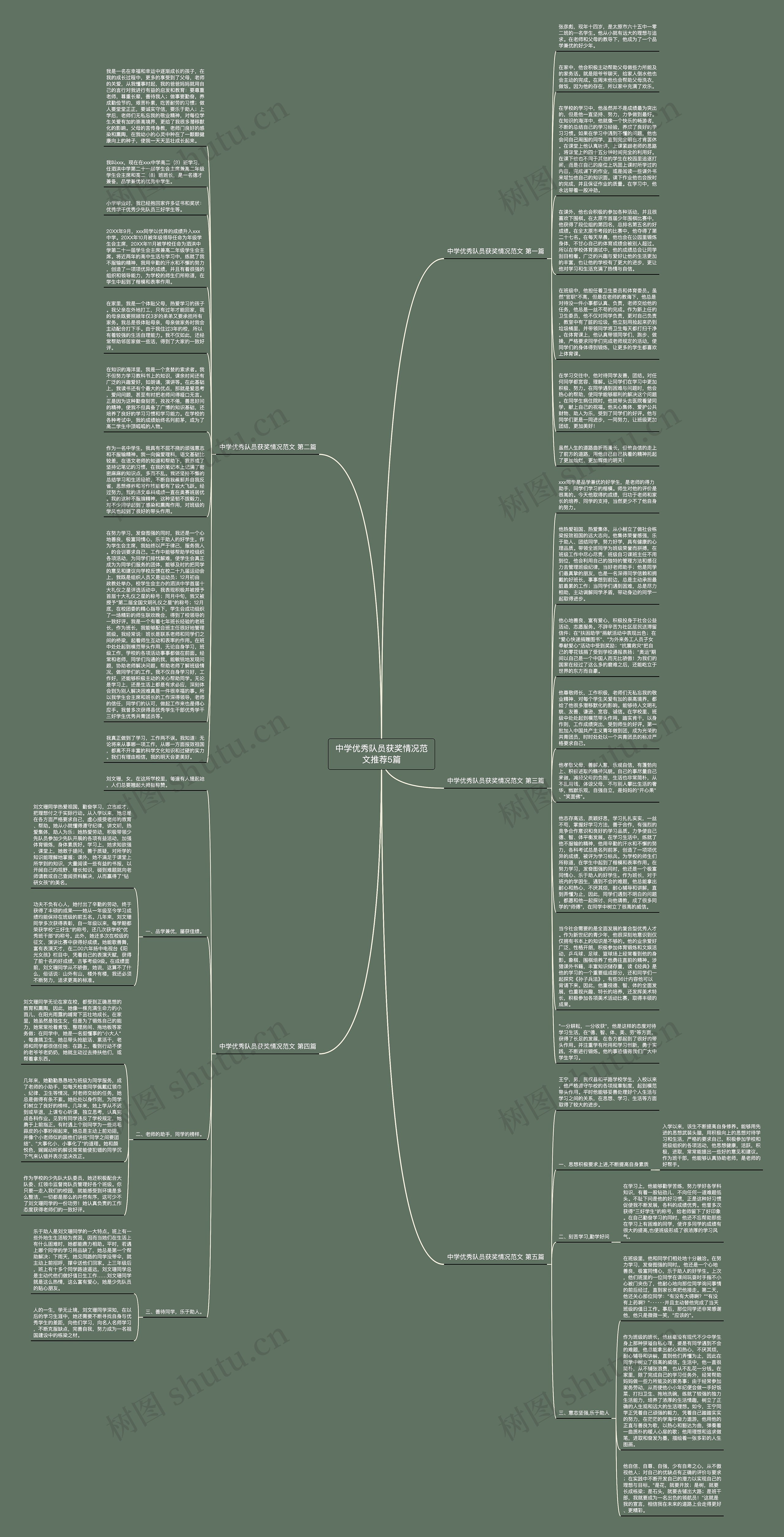 中学优秀队员获奖情况范文推荐5篇思维导图