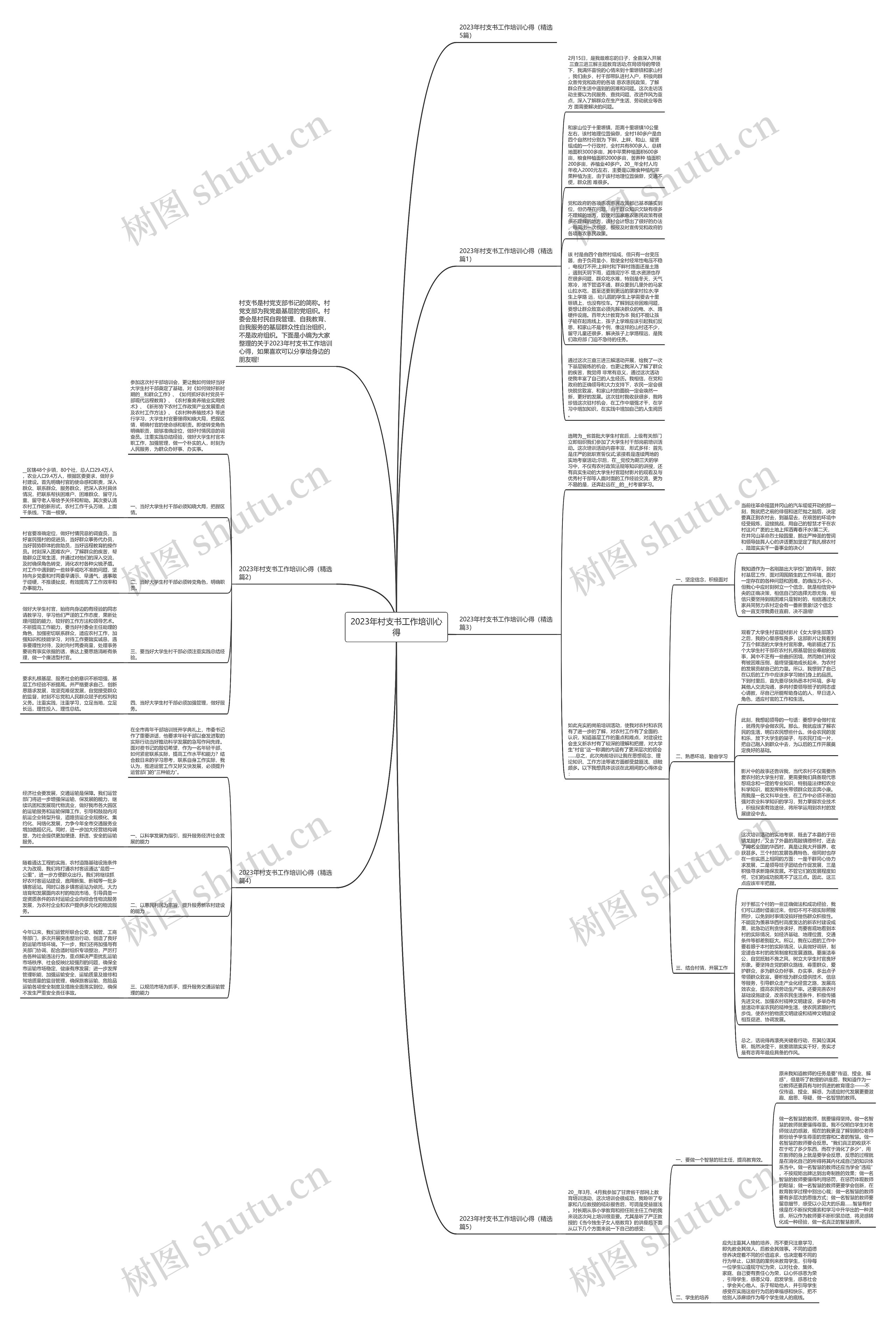 2023年村支书工作培训心得思维导图