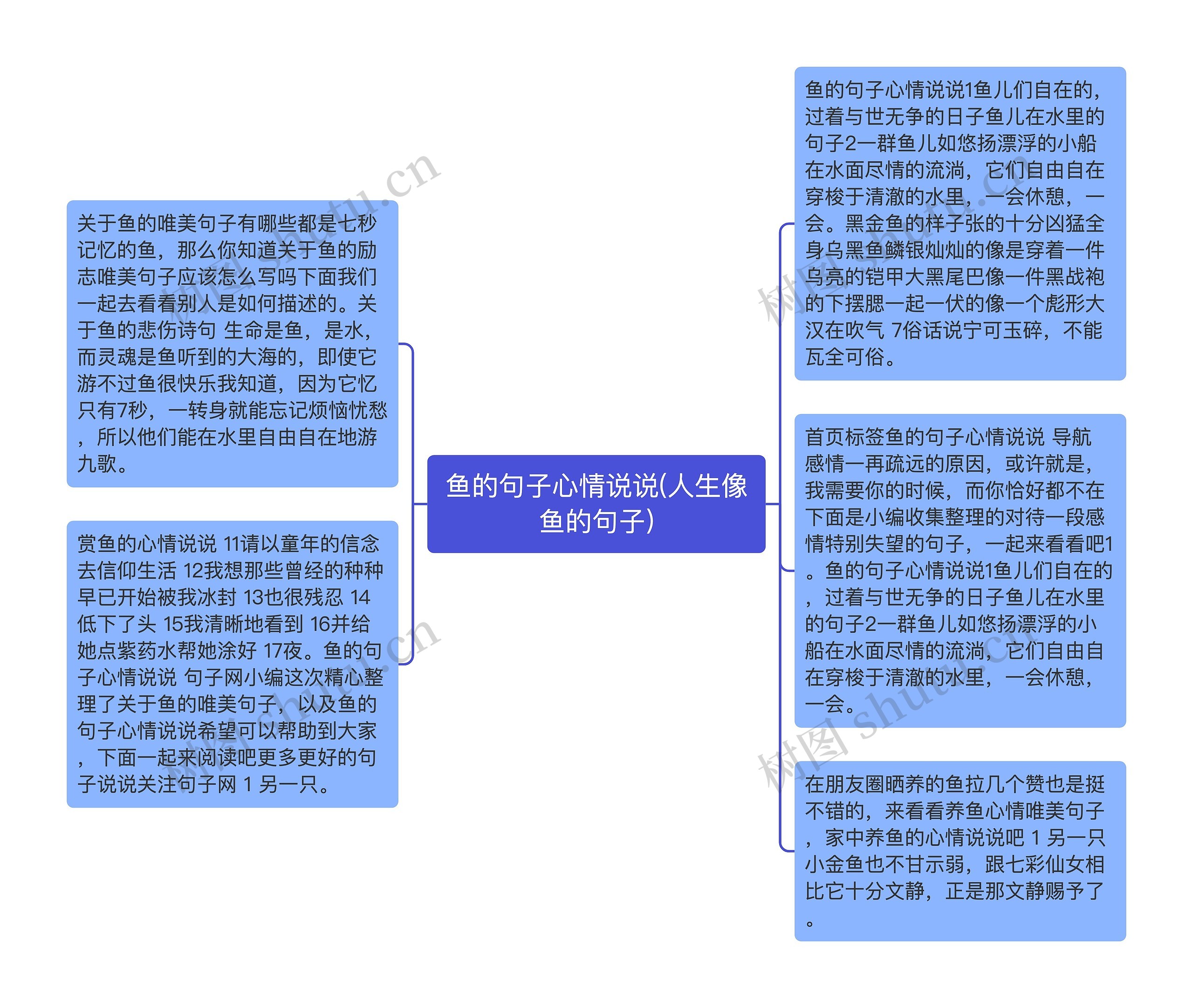 鱼的句子心情说说(人生像鱼的句子)