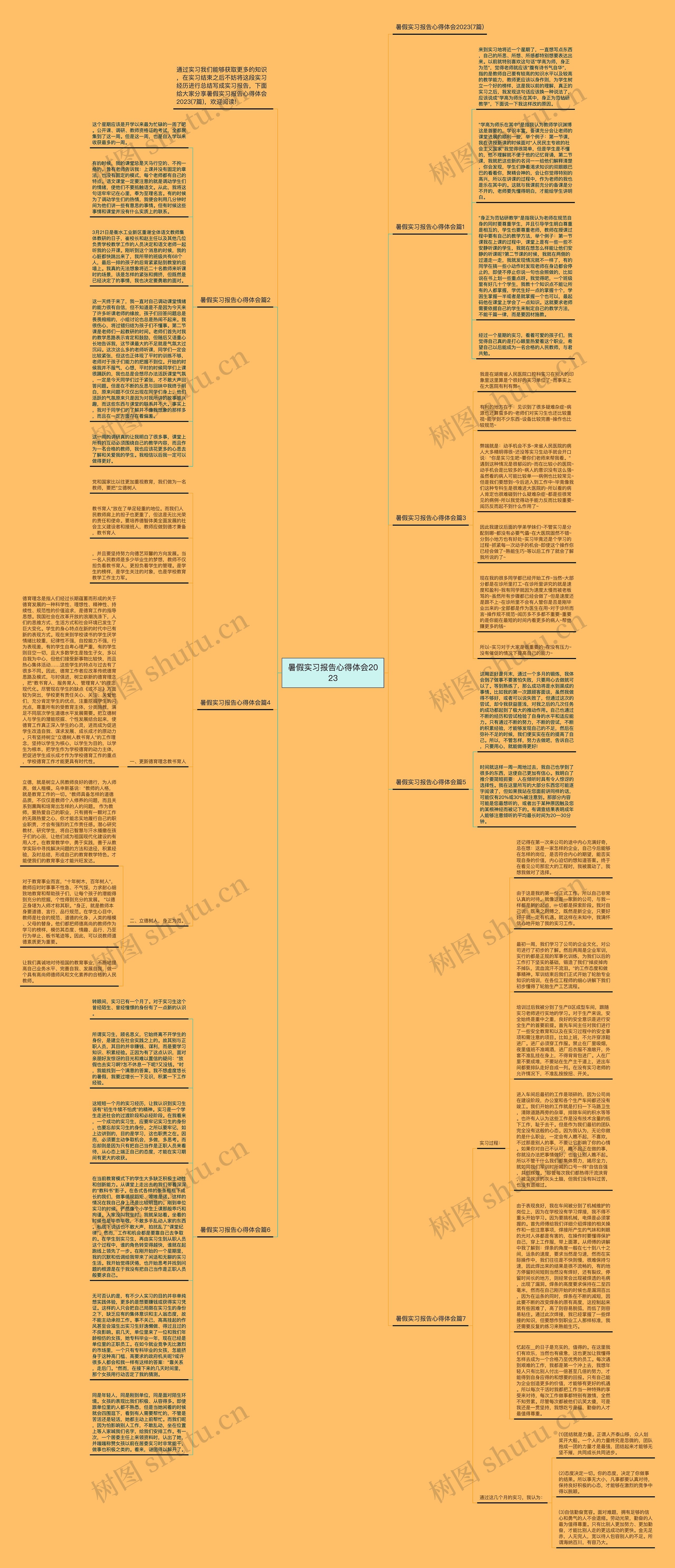 暑假实习报告心得体会2023思维导图