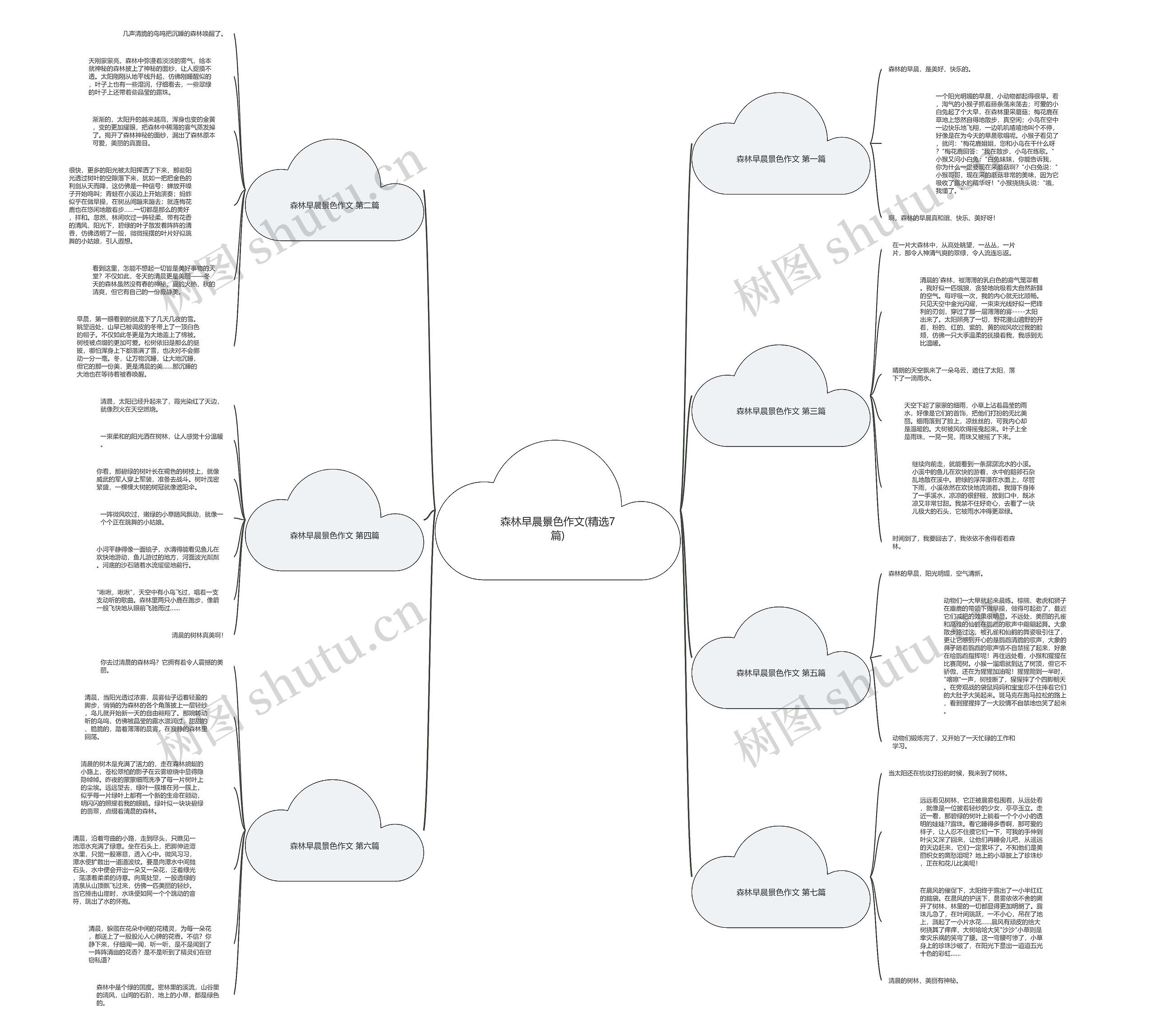 森林早晨景色作文(精选7篇)思维导图
