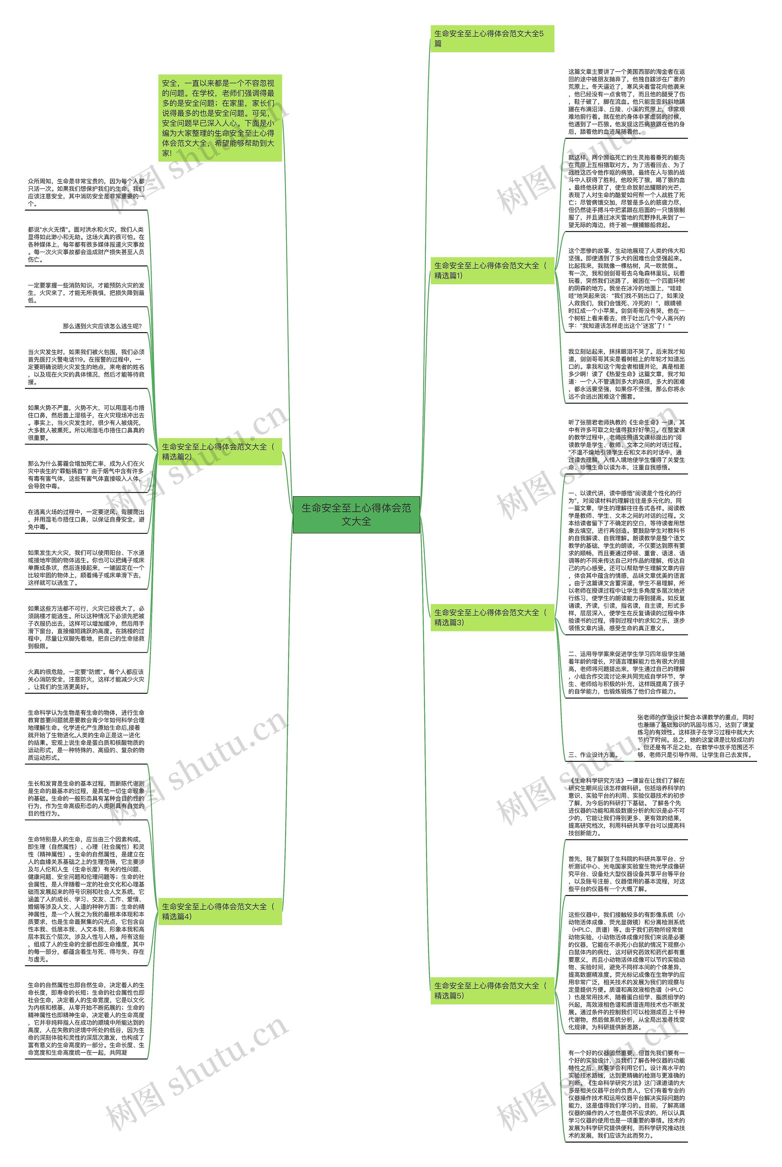 生命安全至上心得体会范文大全思维导图