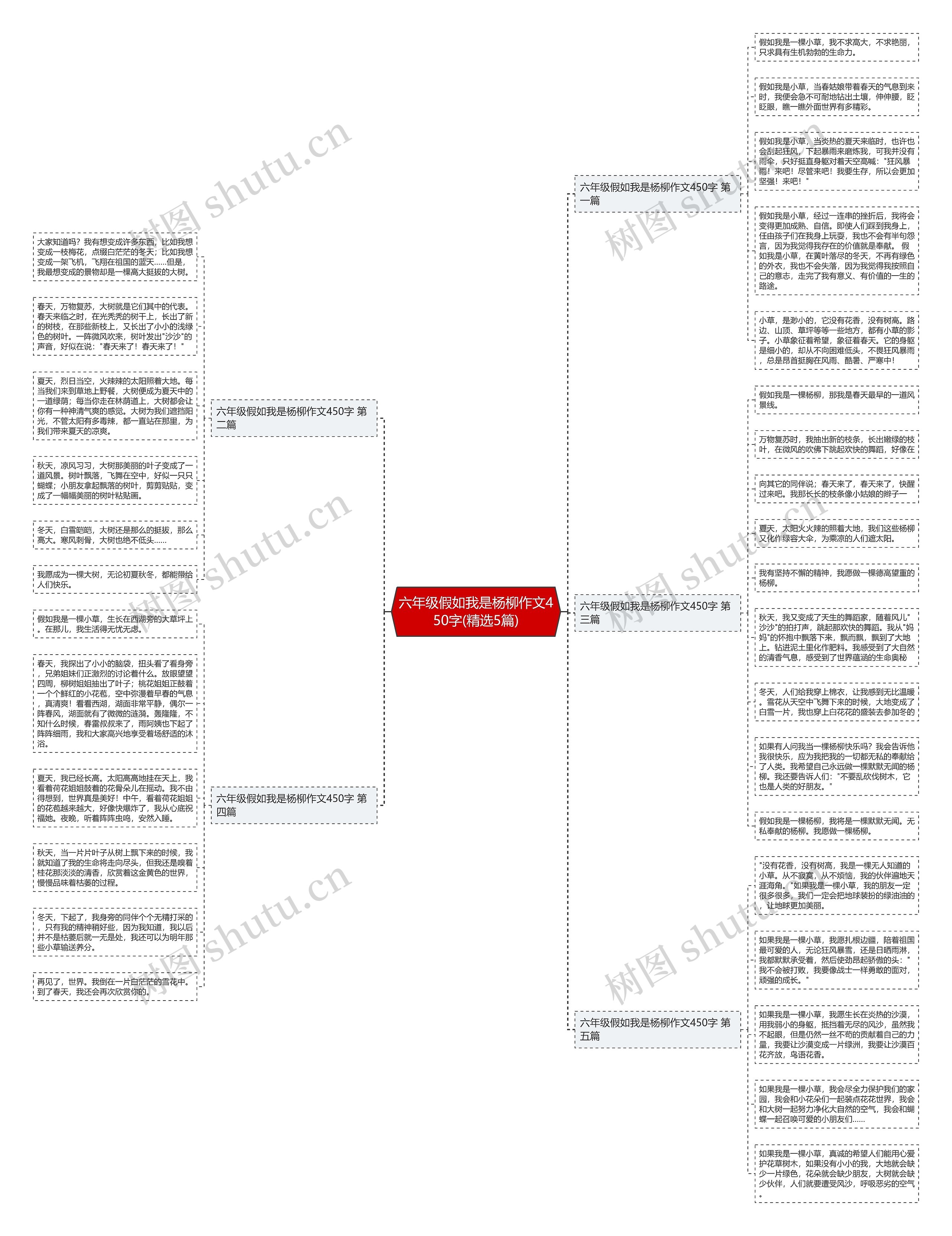 六年级假如我是杨柳作文450字(精选5篇)思维导图