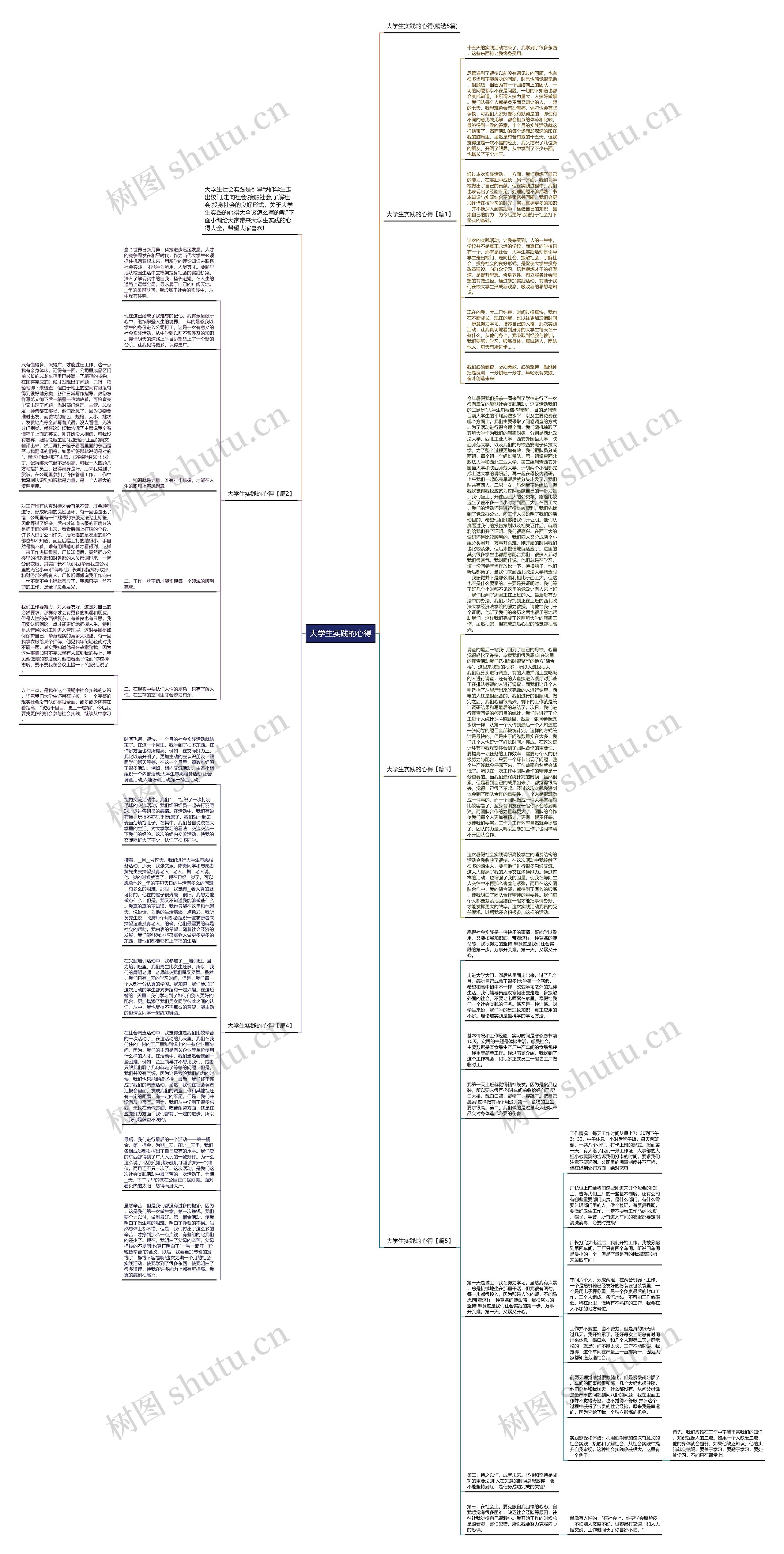大学生实践的心得思维导图