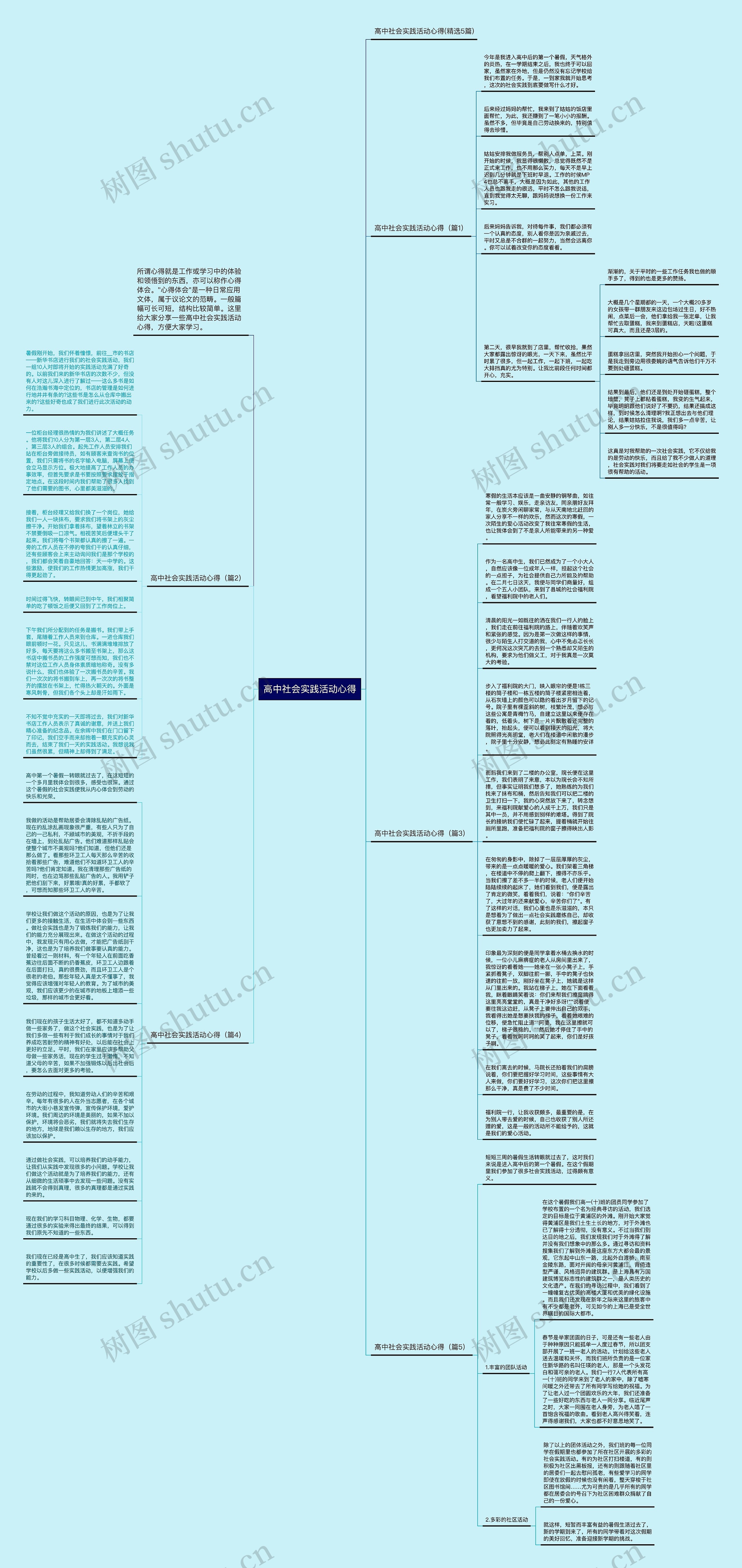 高中社会实践活动心得思维导图