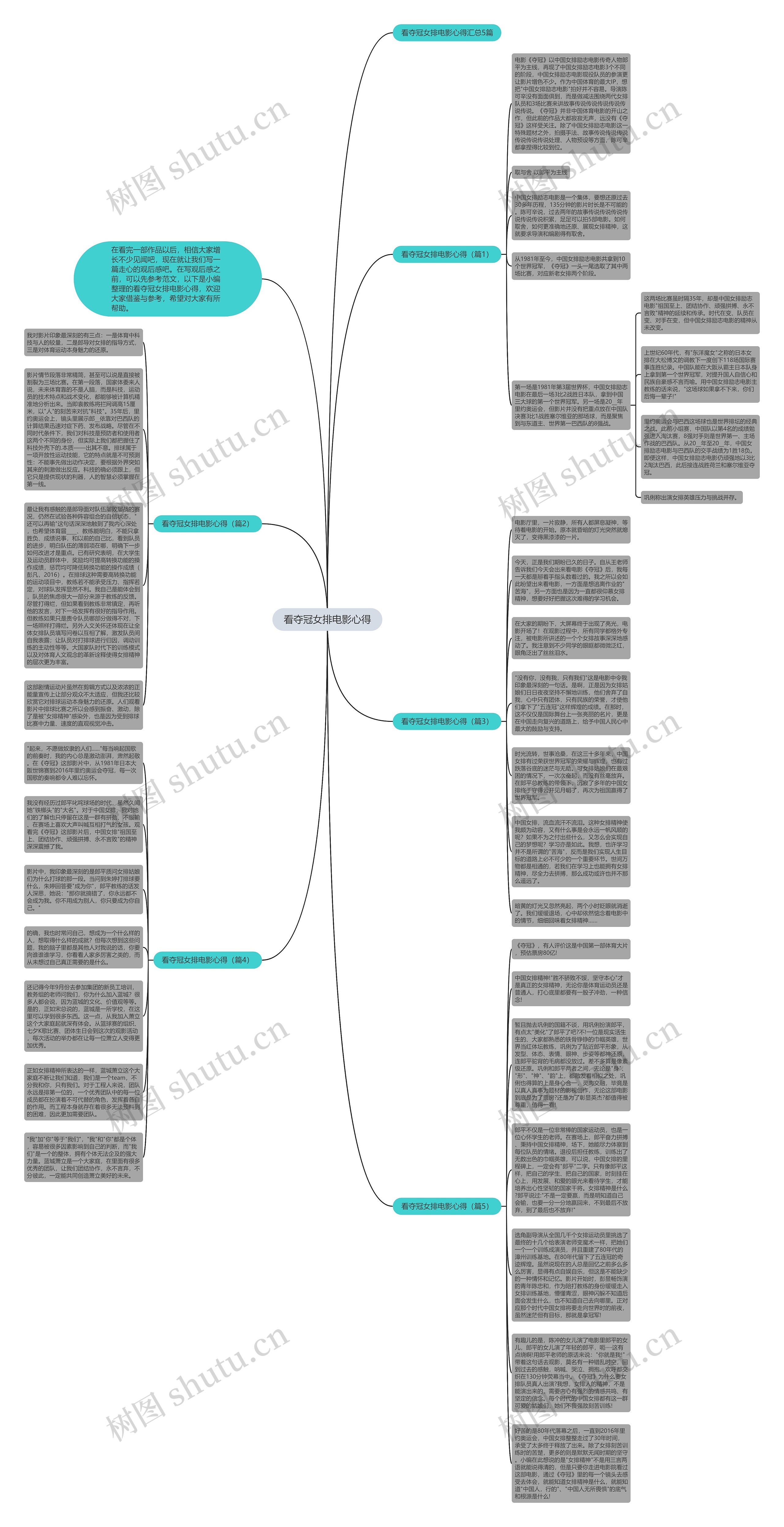 看夺冠女排电影心得思维导图