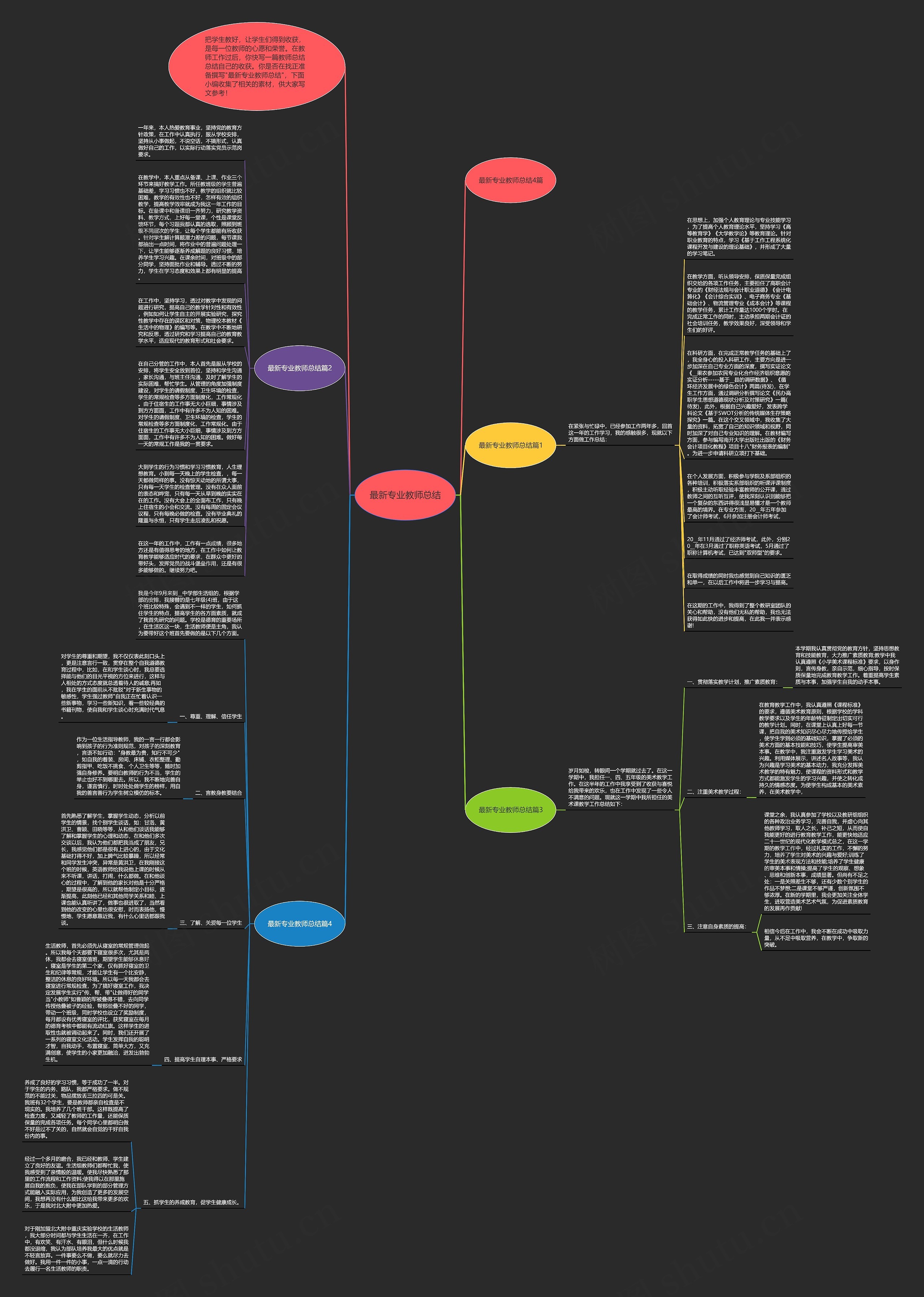 最新专业教师总结思维导图