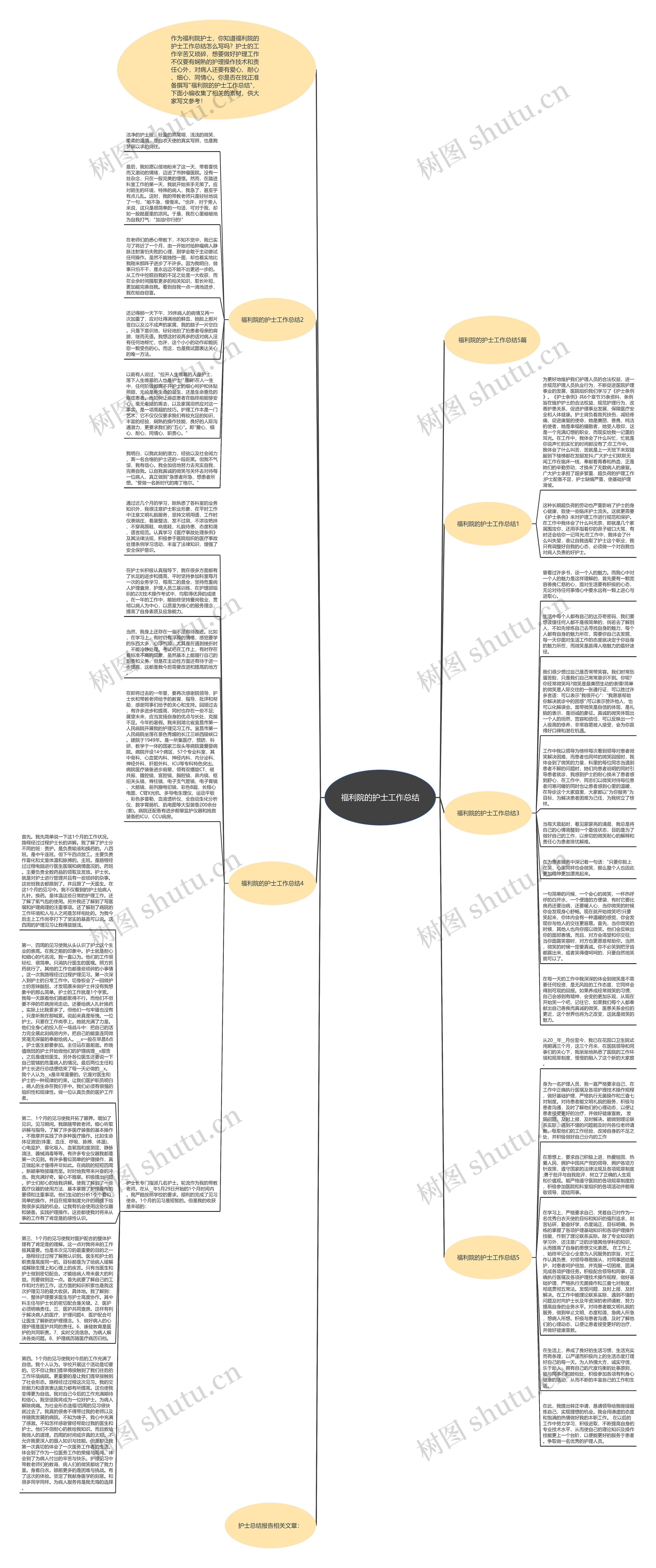 福利院的护士工作总结思维导图