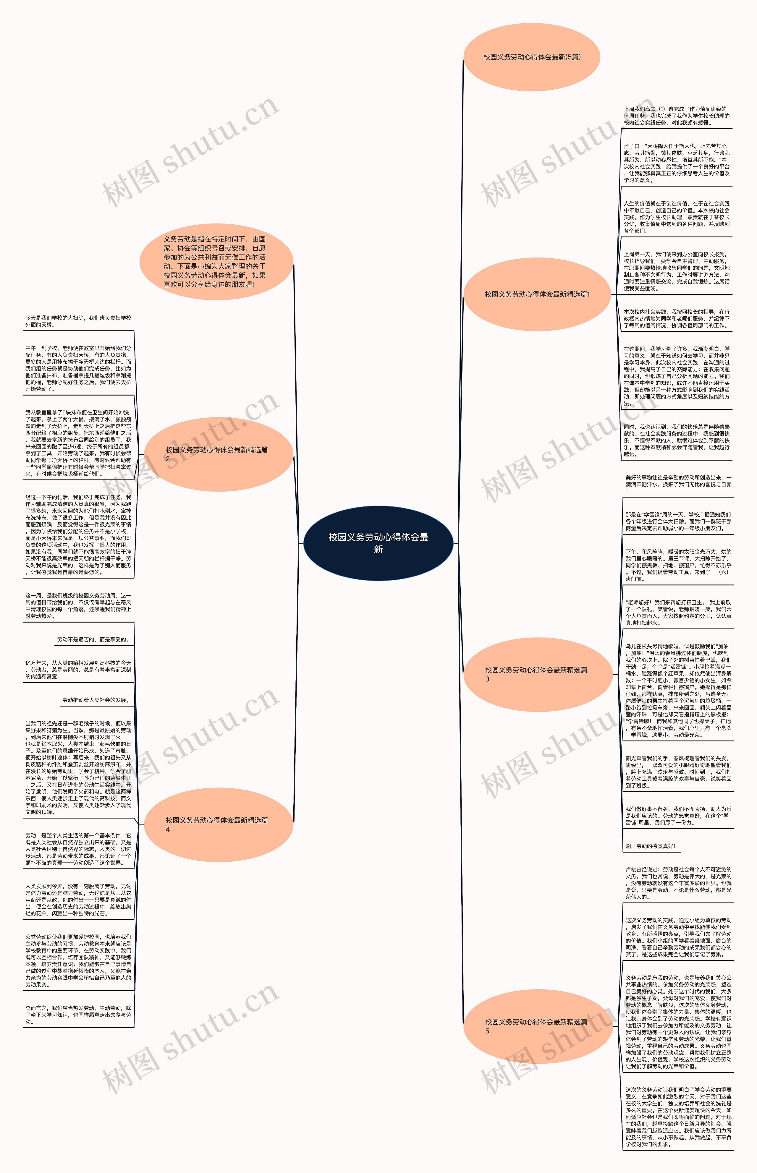 校园义务劳动心得体会最新思维导图