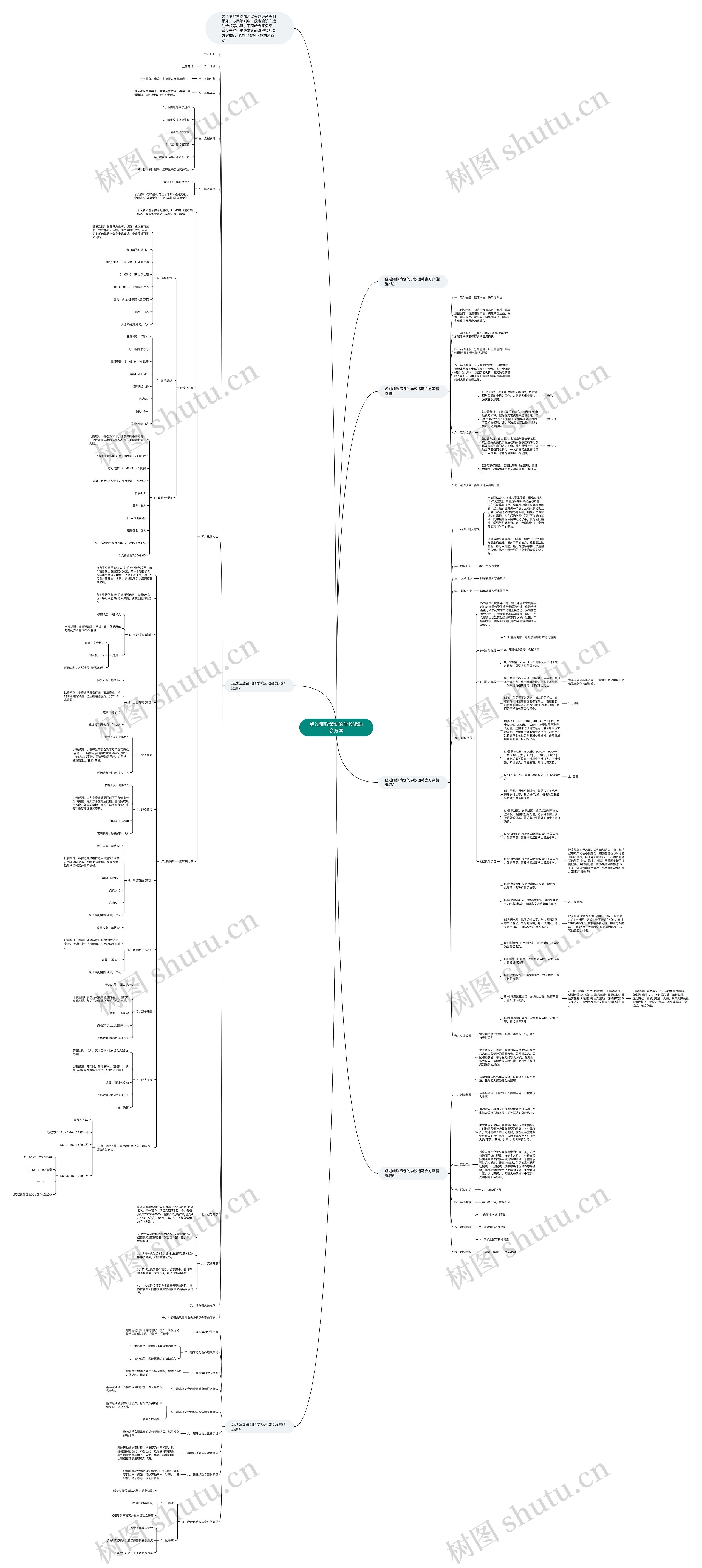 经过细致策划的学校运动会方案思维导图