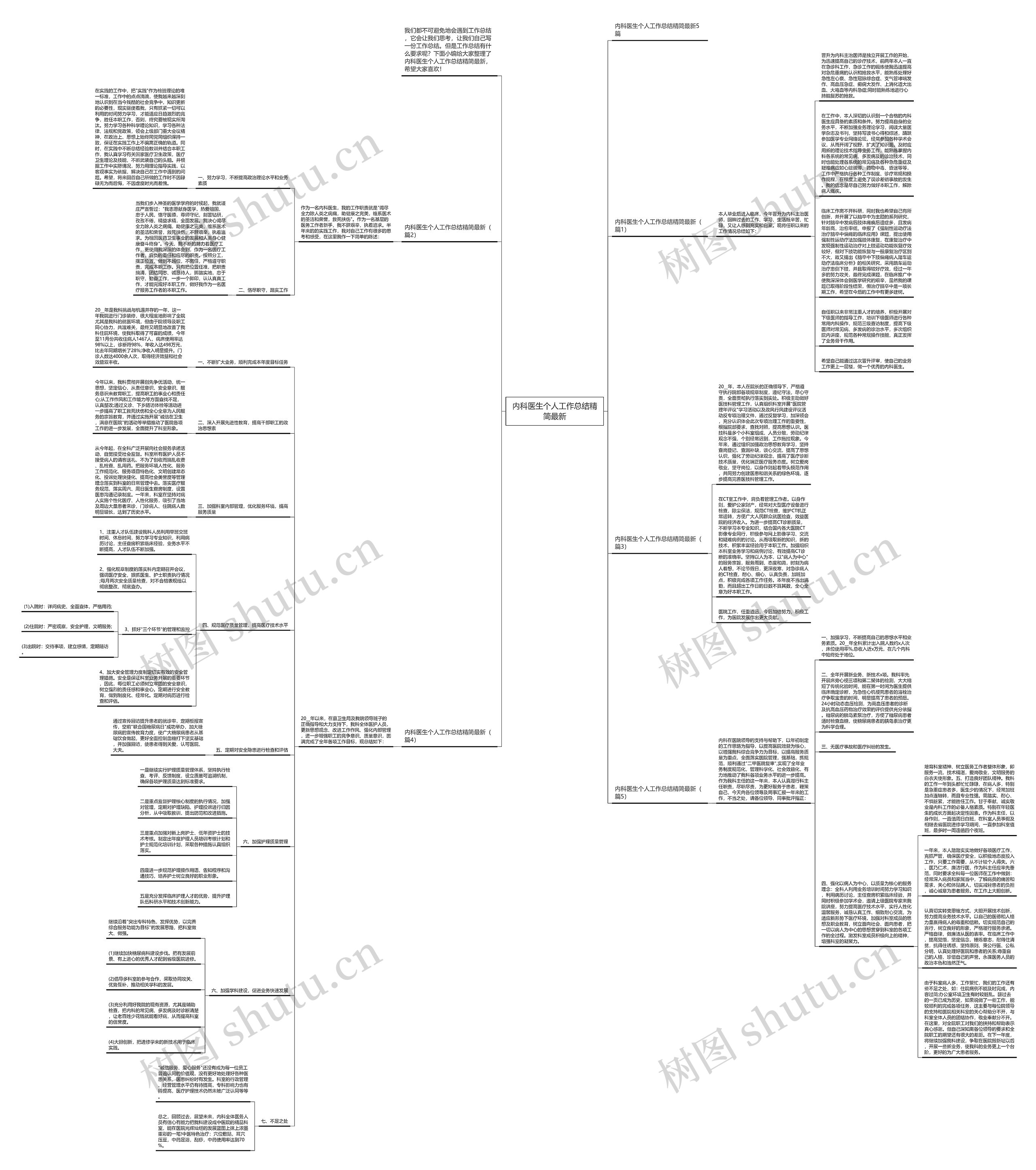 内科医生个人工作总结精简最新思维导图