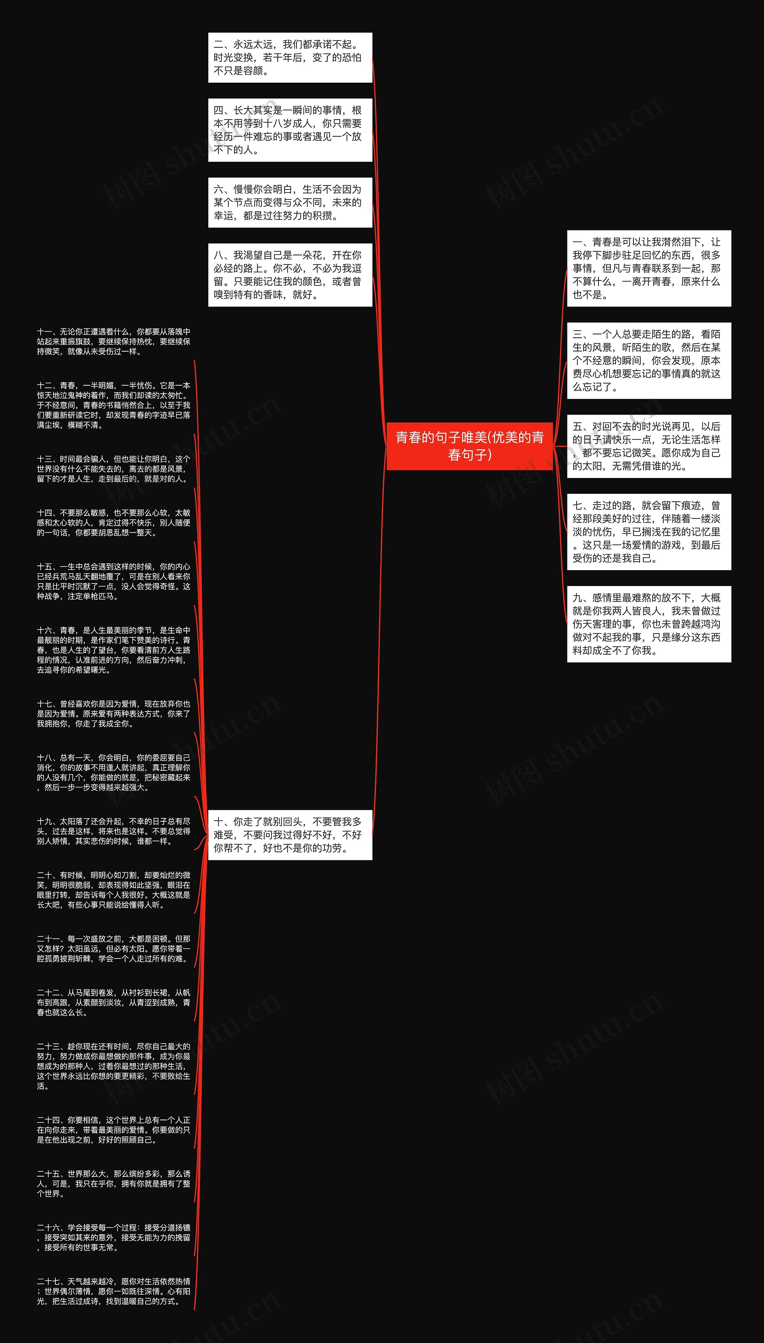 青春的句子唯美(优美的青春句子)思维导图