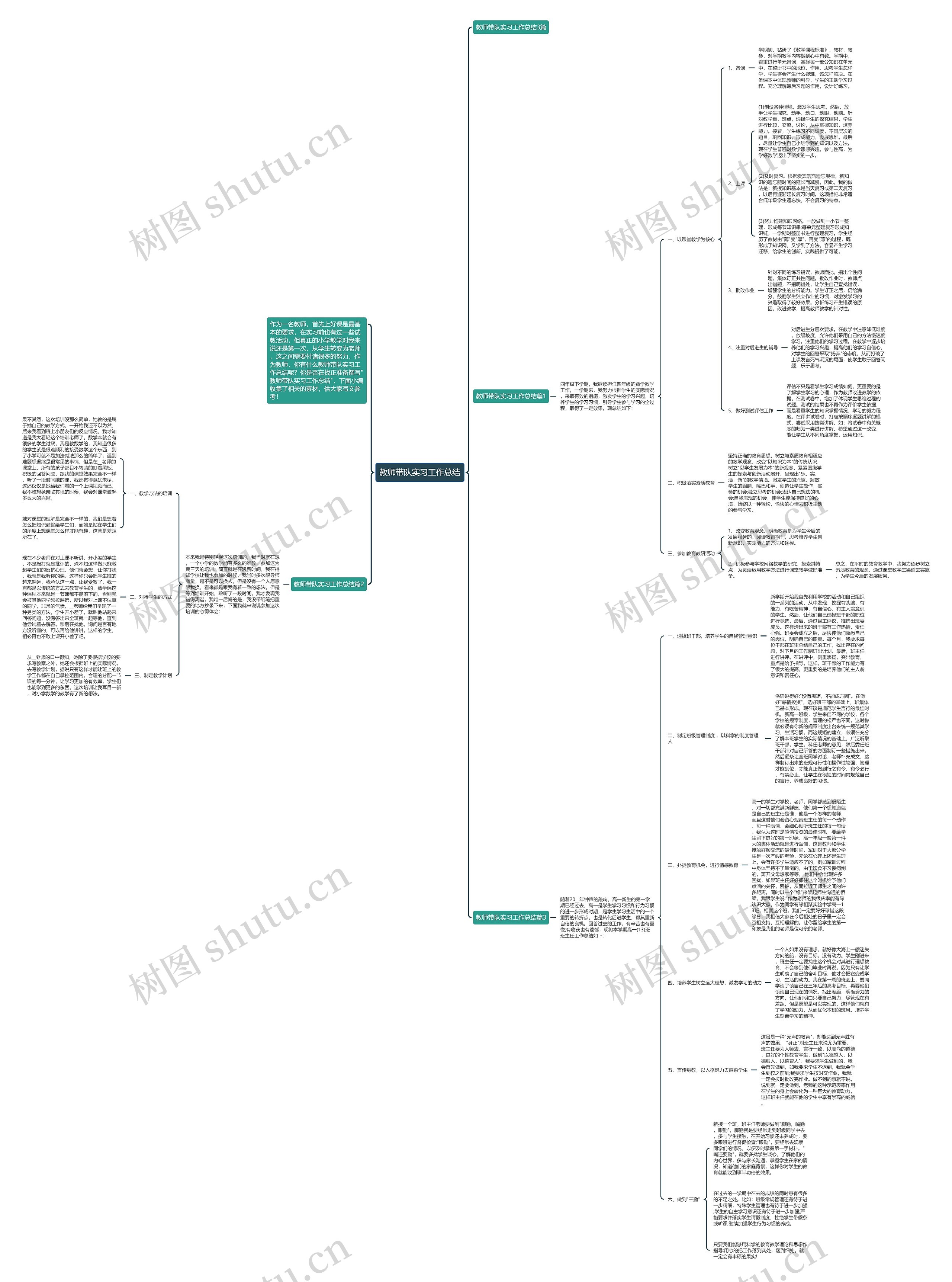 教师带队实习工作总结思维导图
