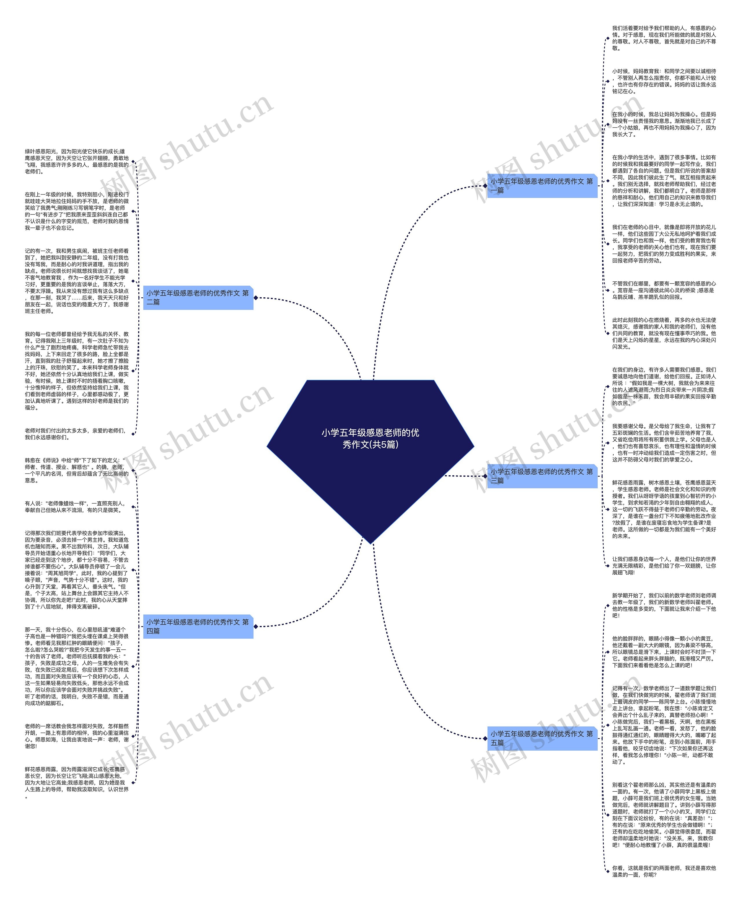 小学五年级感恩老师的优秀作文(共5篇)
