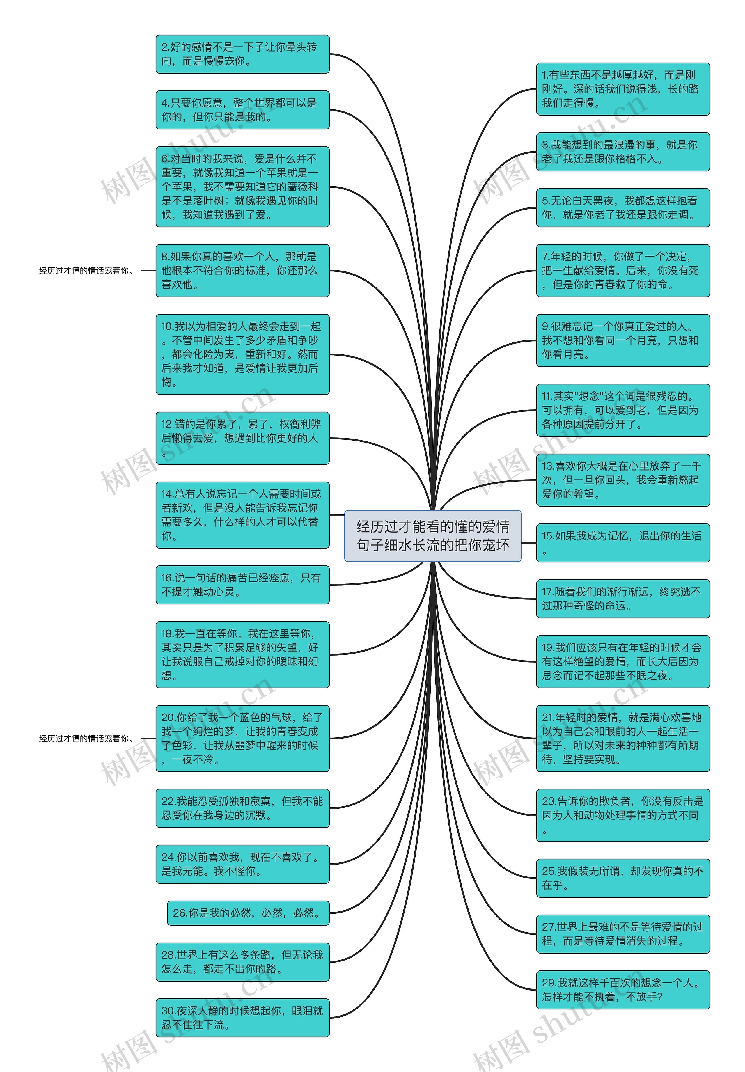 经历过才能看的懂的爱情句子细水长流的把你宠坏思维导图