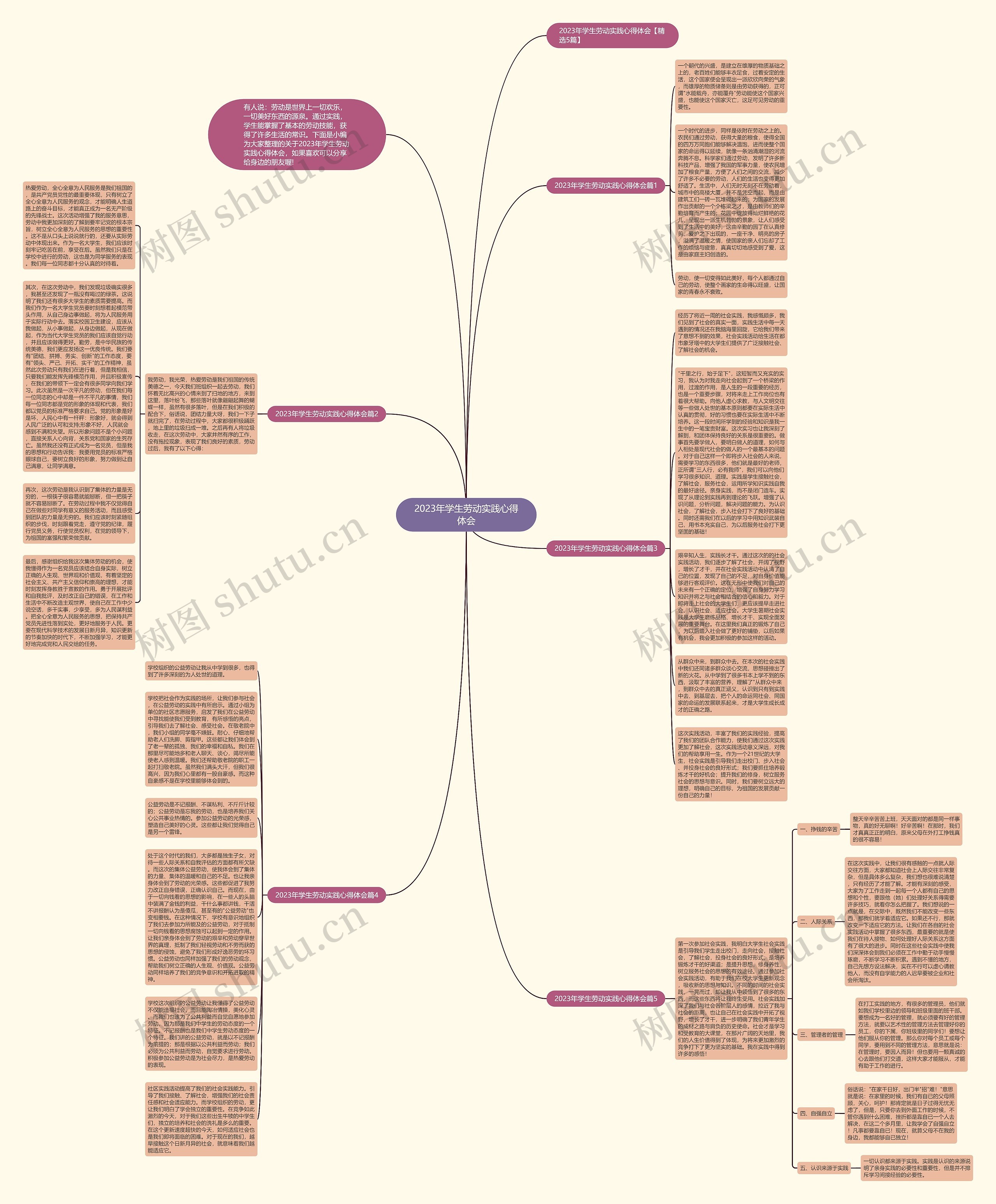2023年学生劳动实践心得体会思维导图