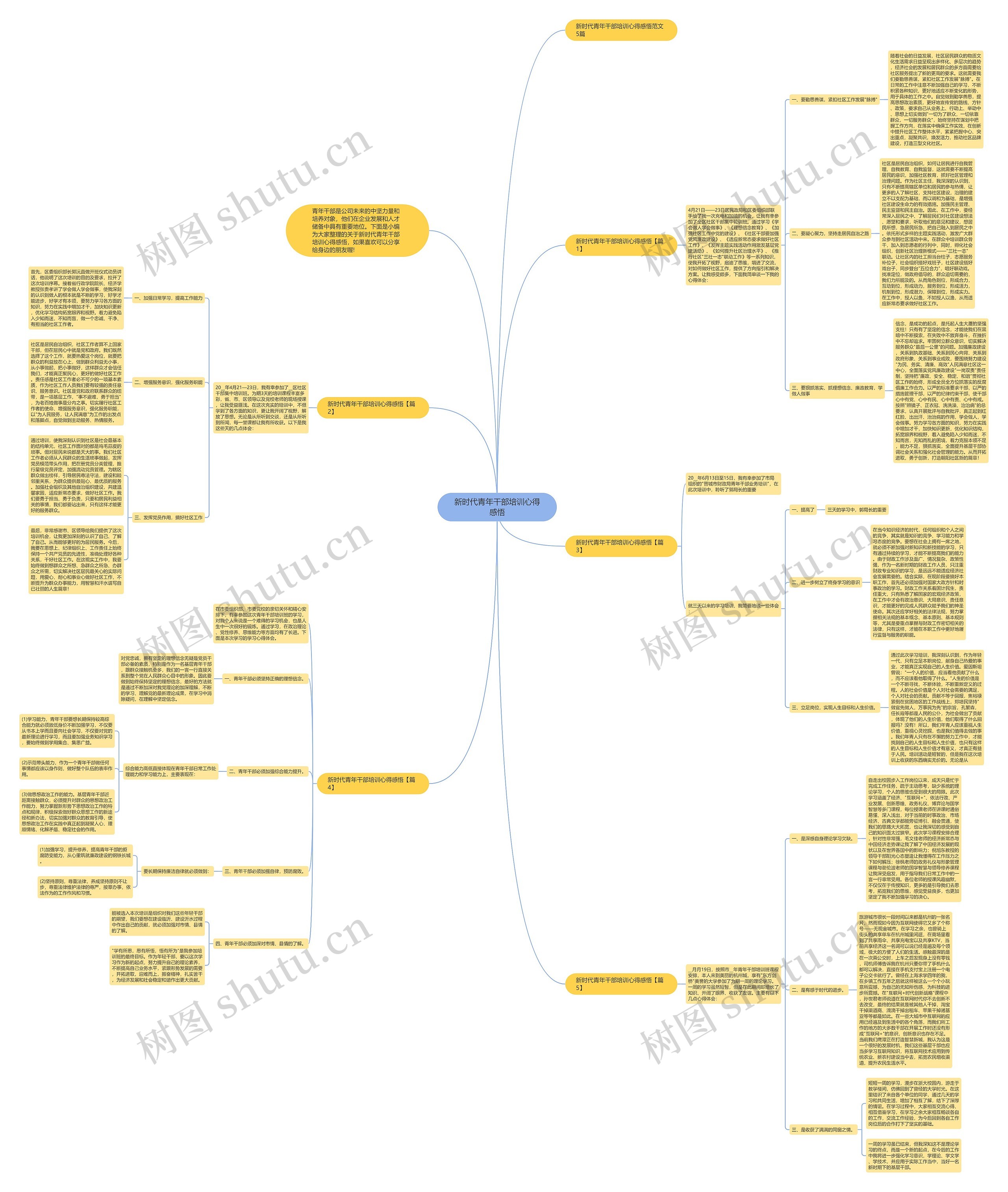 新时代青年干部培训心得感悟思维导图