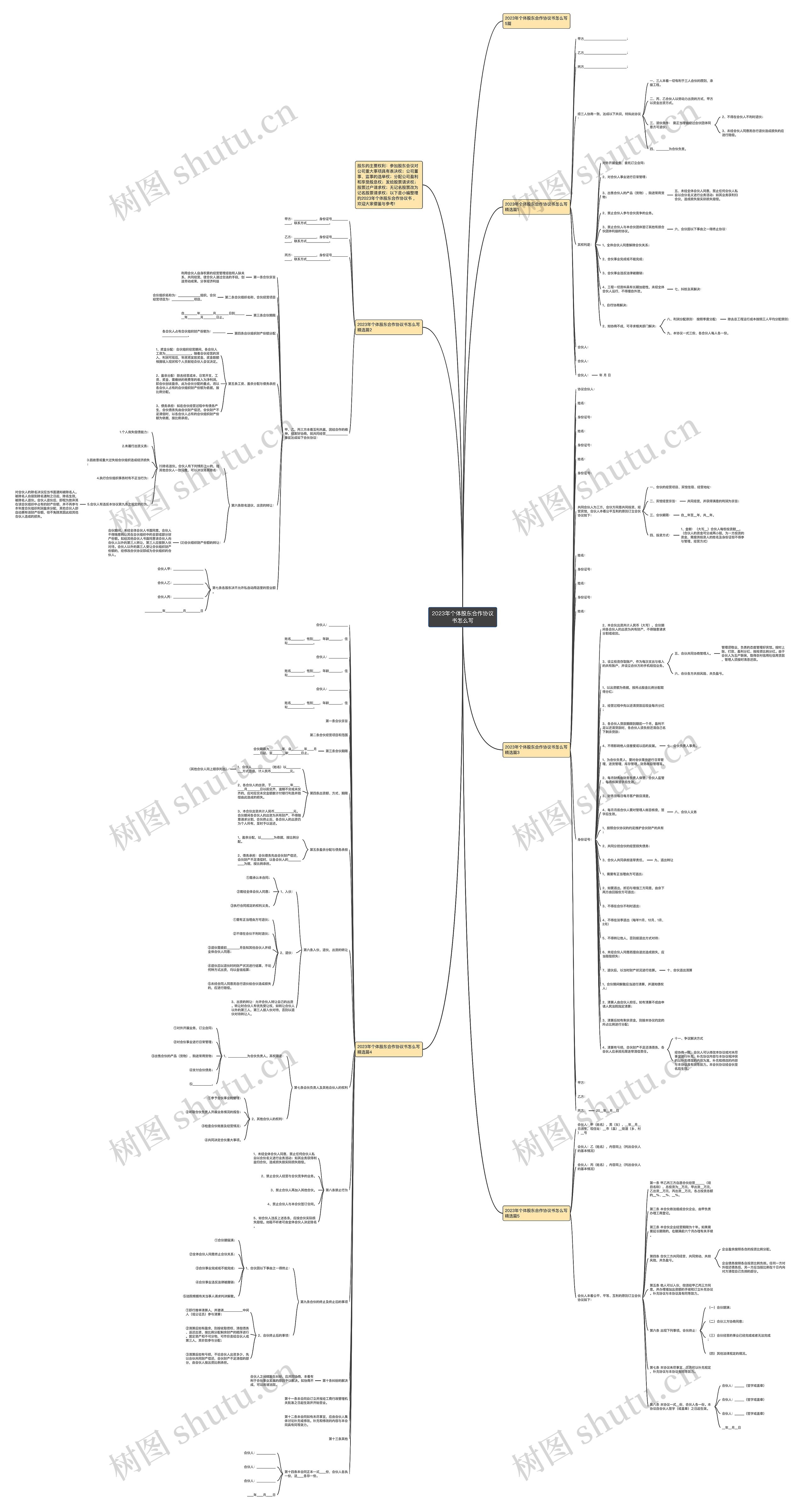 2023年个体股东合作协议书怎么写思维导图