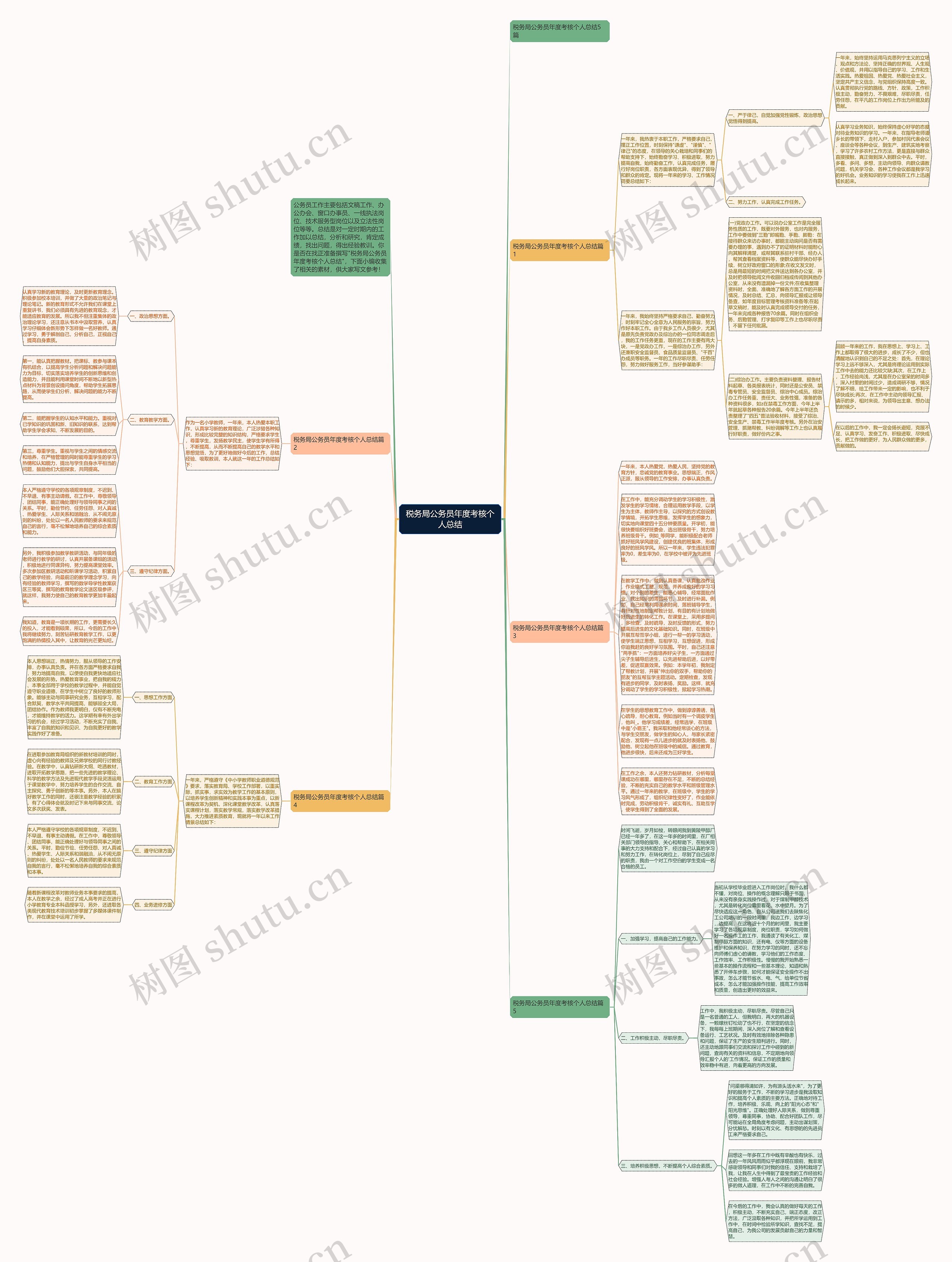 税务局公务员年度考核个人总结思维导图