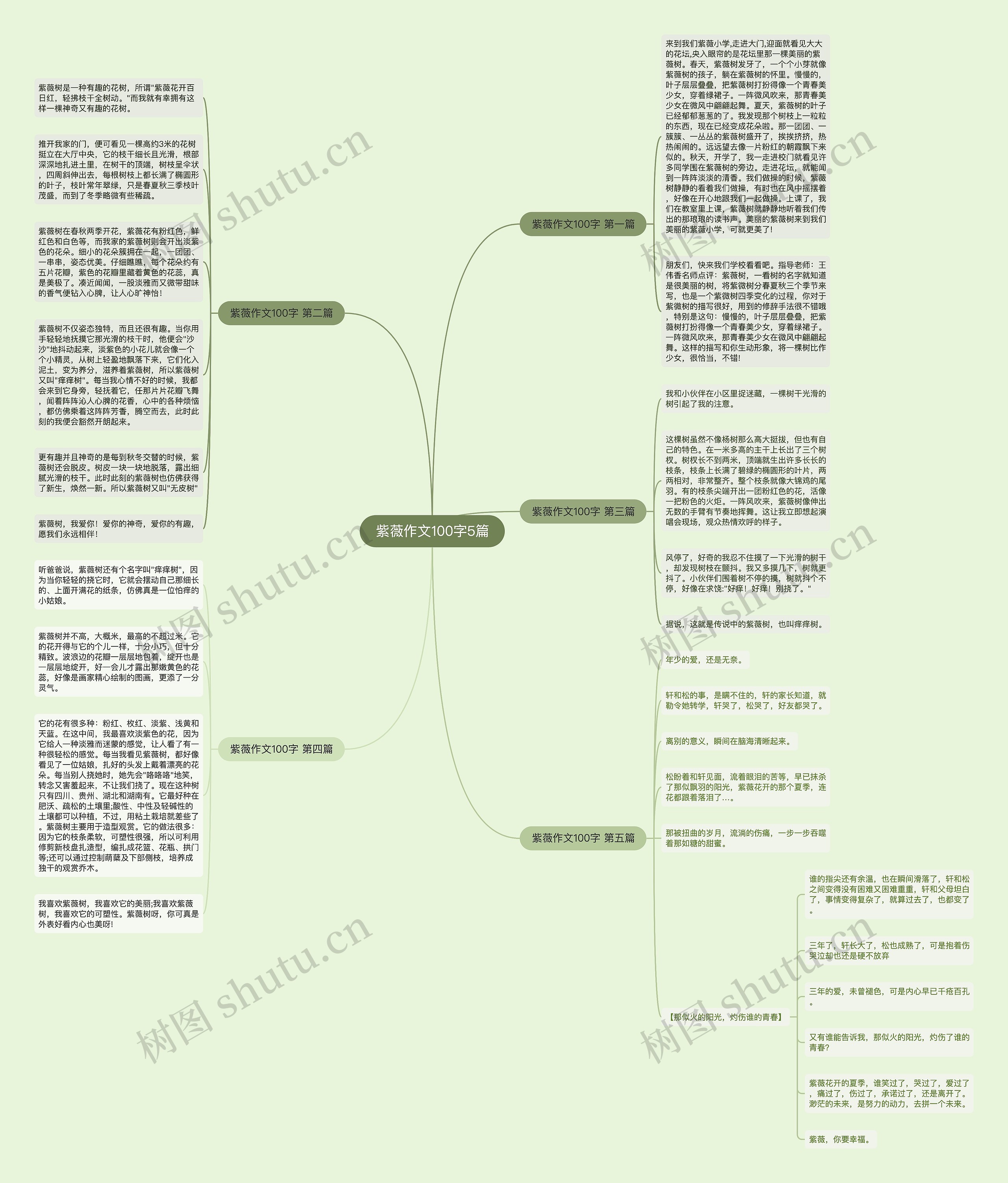 紫薇作文100字5篇思维导图