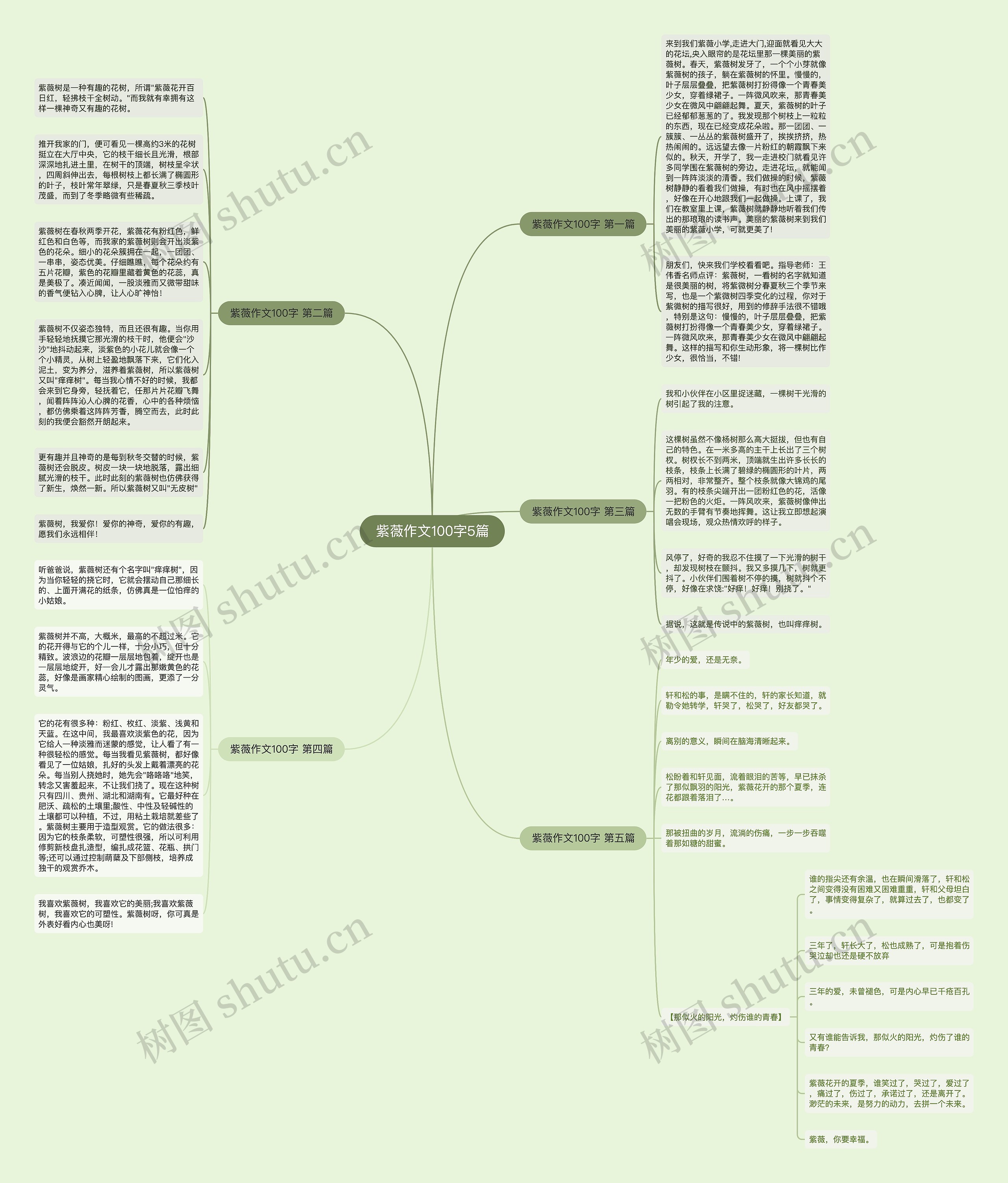 紫薇作文100字5篇 紫薇作文100字5篇