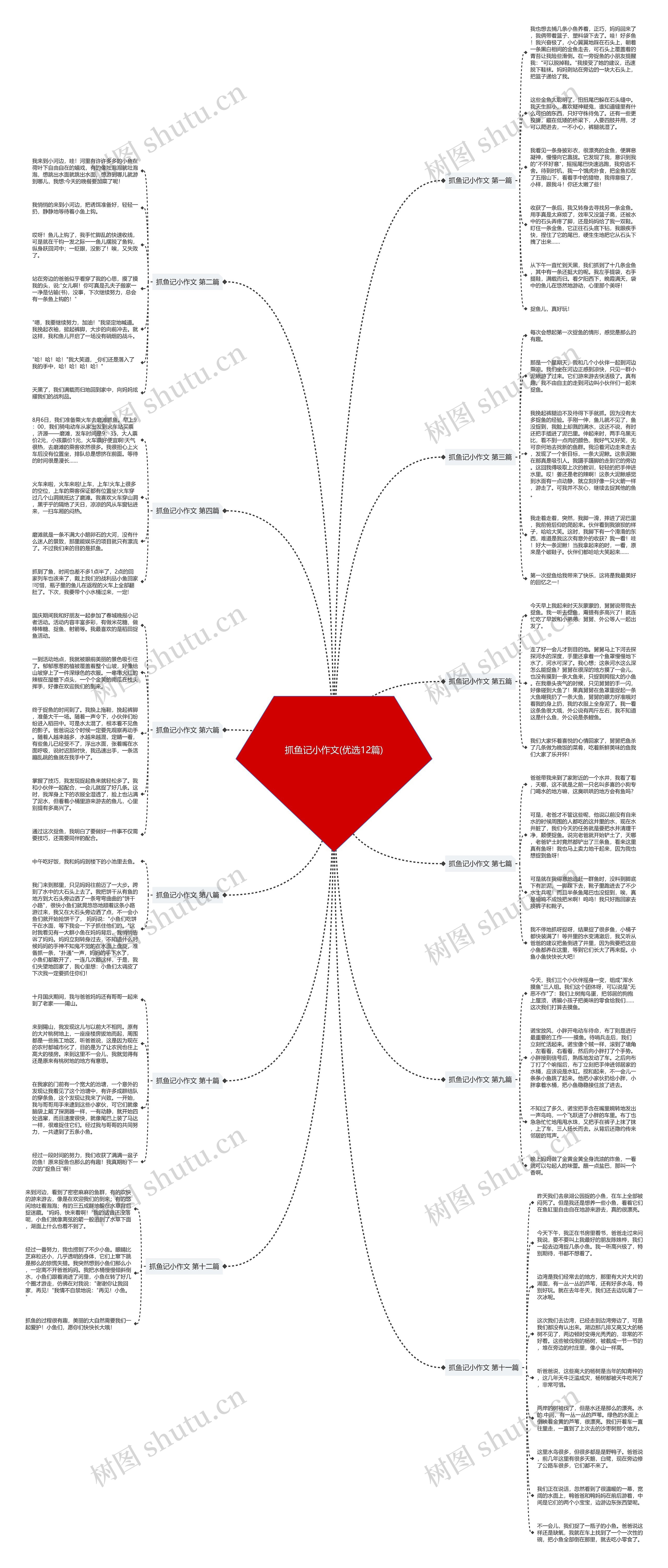 抓鱼记小作文(优选12篇)思维导图