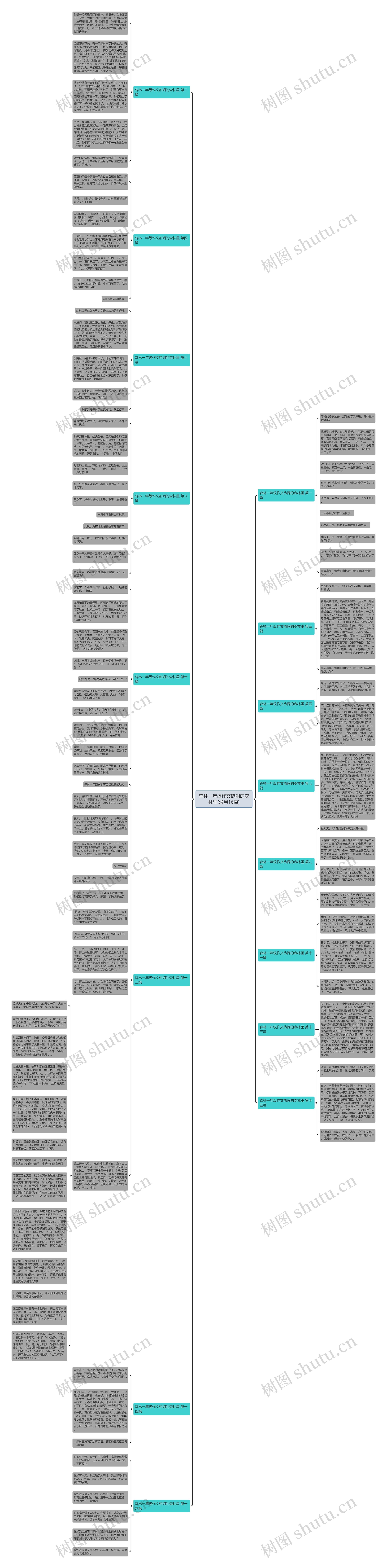 森林一年级作文热闹的森林里(通用16篇)思维导图
